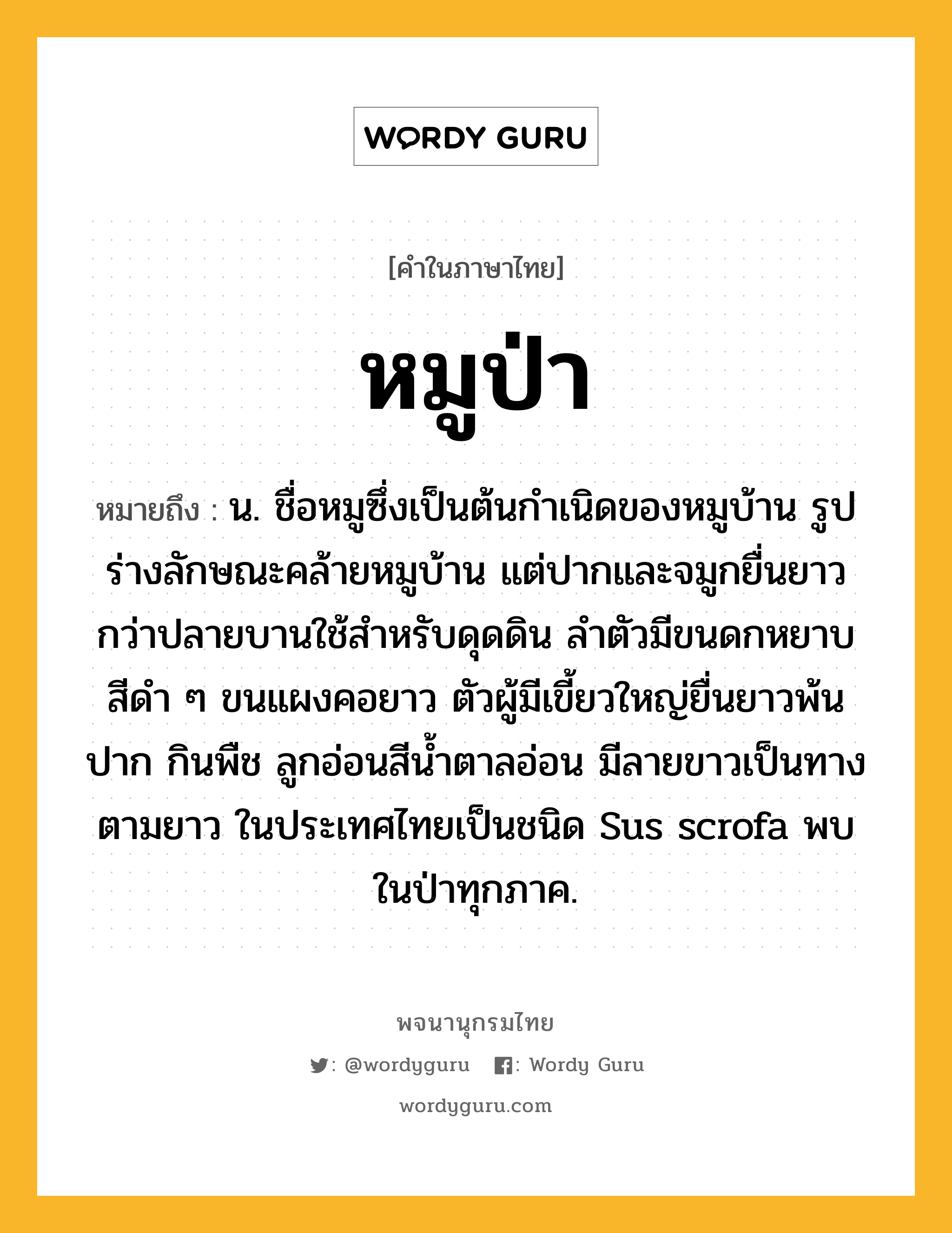 หมูป่า ความหมาย หมายถึงอะไร?, คำในภาษาไทย หมูป่า หมายถึง น. ชื่อหมูซึ่งเป็นต้นกําเนิดของหมูบ้าน รูปร่างลักษณะคล้ายหมูบ้าน แต่ปากและจมูกยื่นยาวกว่าปลายบานใช้สําหรับดุดดิน ลําตัวมีขนดกหยาบสีดํา ๆ ขนแผงคอยาว ตัวผู้มีเขี้ยวใหญ่ยื่นยาวพ้นปาก กินพืช ลูกอ่อนสีนํ้าตาลอ่อน มีลายขาวเป็นทางตามยาว ในประเทศไทยเป็นชนิด Sus scrofa พบในป่าทุกภาค.