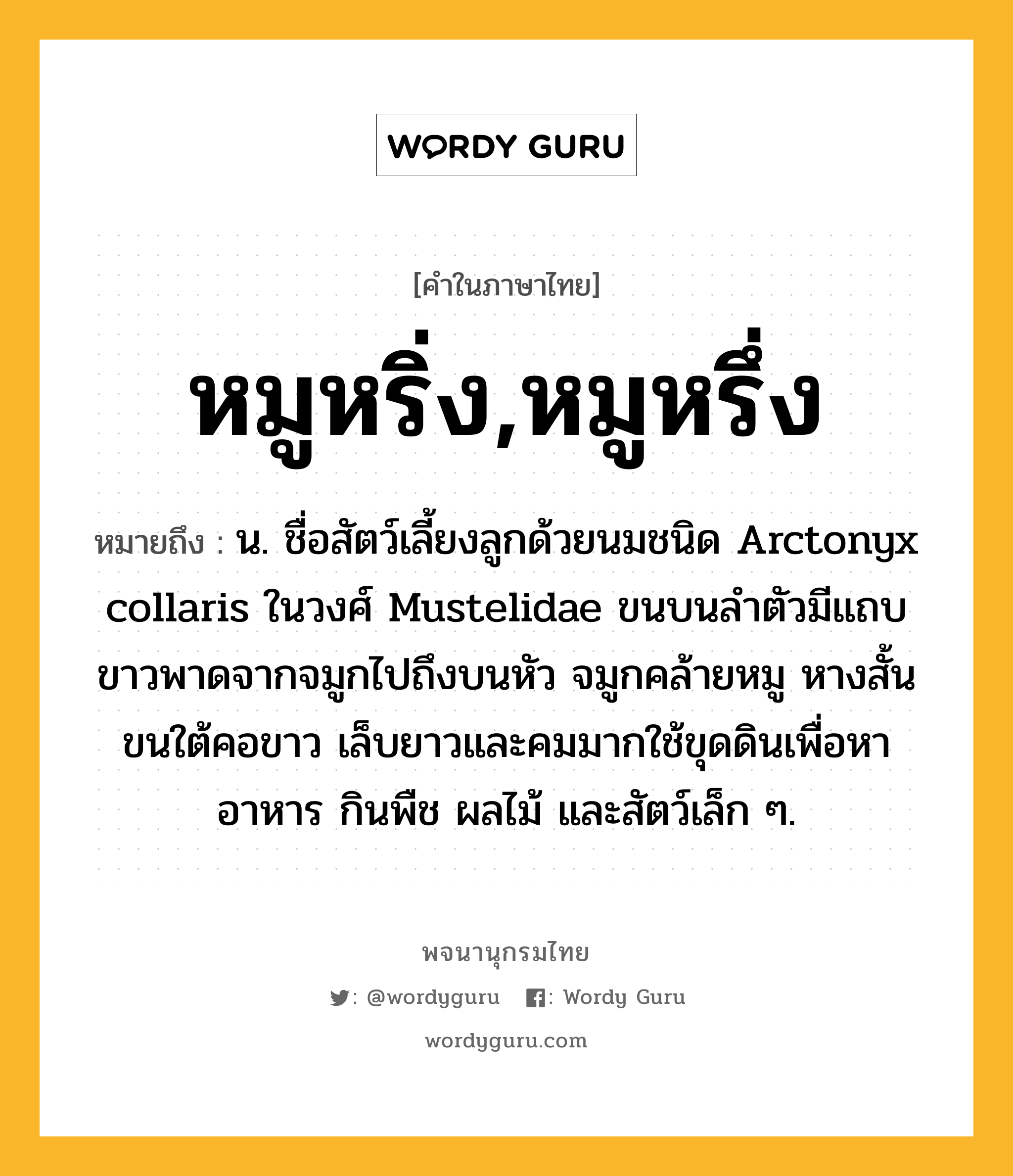 หมูหริ่ง,หมูหรึ่ง ความหมาย หมายถึงอะไร?, คำในภาษาไทย หมูหริ่ง,หมูหรึ่ง หมายถึง น. ชื่อสัตว์เลี้ยงลูกด้วยนมชนิด Arctonyx collaris ในวงศ์ Mustelidae ขนบนลําตัวมีแถบขาวพาดจากจมูกไปถึงบนหัว จมูกคล้ายหมู หางสั้น ขนใต้คอขาว เล็บยาวและคมมากใช้ขุดดินเพื่อหาอาหาร กินพืช ผลไม้ และสัตว์เล็ก ๆ.