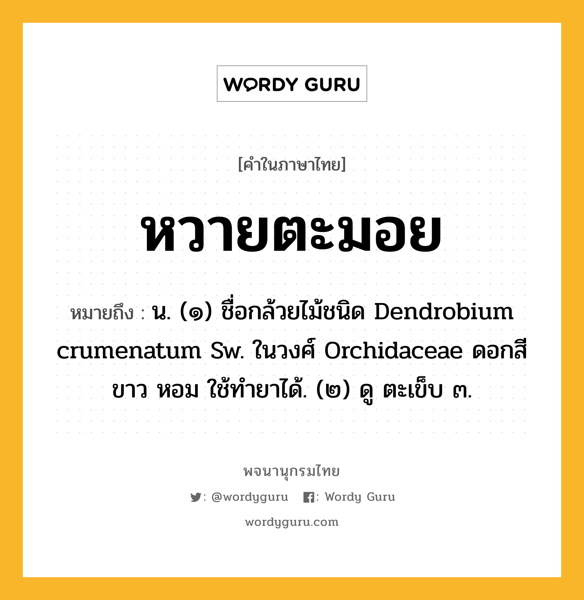 หวายตะมอย ความหมาย หมายถึงอะไร?, คำในภาษาไทย หวายตะมอย หมายถึง น. (๑) ชื่อกล้วยไม้ชนิด Dendrobium crumenatum Sw. ในวงศ์ Orchidaceae ดอกสีขาว หอม ใช้ทํายาได้. (๒) ดู ตะเข็บ ๓.