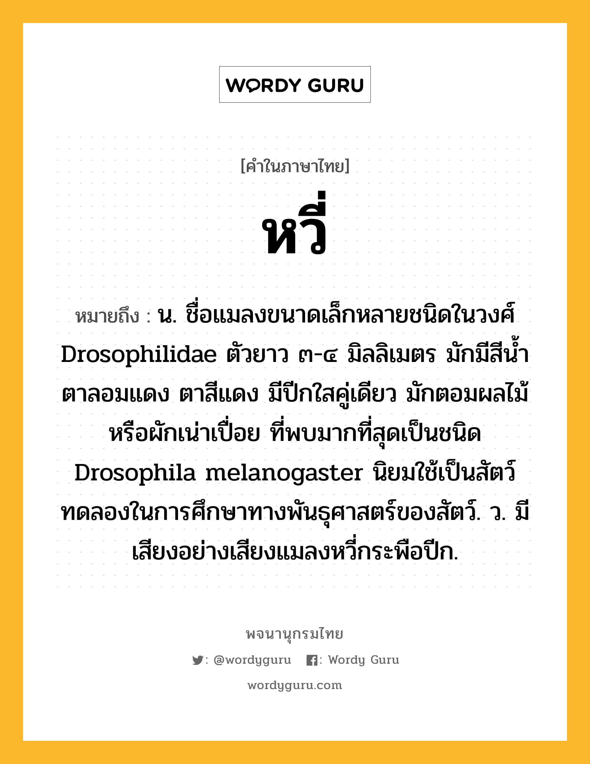 หวี่ ความหมาย หมายถึงอะไร?, คำในภาษาไทย หวี่ หมายถึง น. ชื่อแมลงขนาดเล็กหลายชนิดในวงศ์ Drosophilidae ตัวยาว ๓-๔ มิลลิเมตร มักมีสีนํ้าตาลอมแดง ตาสีแดง มีปีกใสคู่เดียว มักตอมผลไม้หรือผักเน่าเปื่อย ที่พบมากที่สุดเป็นชนิด Drosophila melanogaster นิยมใช้เป็นสัตว์ทดลองในการศึกษาทางพันธุศาสตร์ของสัตว์. ว. มีเสียงอย่างเสียงแมลงหวี่กระพือปีก.