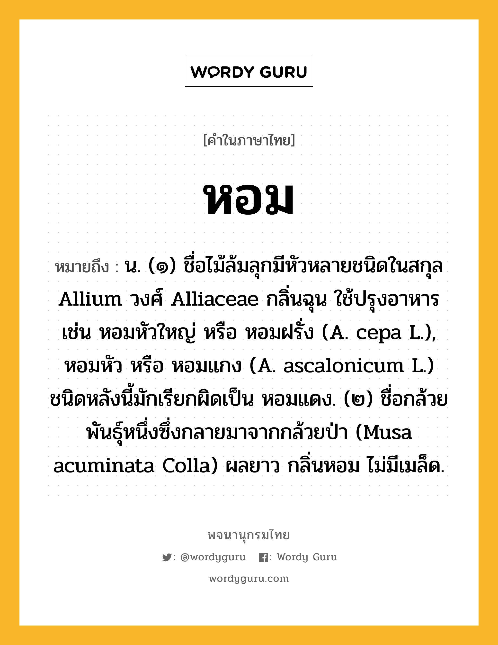 หอม ความหมาย หมายถึงอะไร?, คำในภาษาไทย หอม หมายถึง น. (๑) ชื่อไม้ล้มลุกมีหัวหลายชนิดในสกุล Allium วงศ์ Alliaceae กลิ่นฉุน ใช้ปรุงอาหาร เช่น หอมหัวใหญ่ หรือ หอมฝรั่ง (A. cepa L.), หอมหัว หรือ หอมแกง (A. ascalonicum L.) ชนิดหลังนี้มักเรียกผิดเป็น หอมแดง. (๒) ชื่อกล้วยพันธุ์หนึ่งซึ่งกลายมาจากกล้วยป่า (Musa acuminata Colla) ผลยาว กลิ่นหอม ไม่มีเมล็ด.