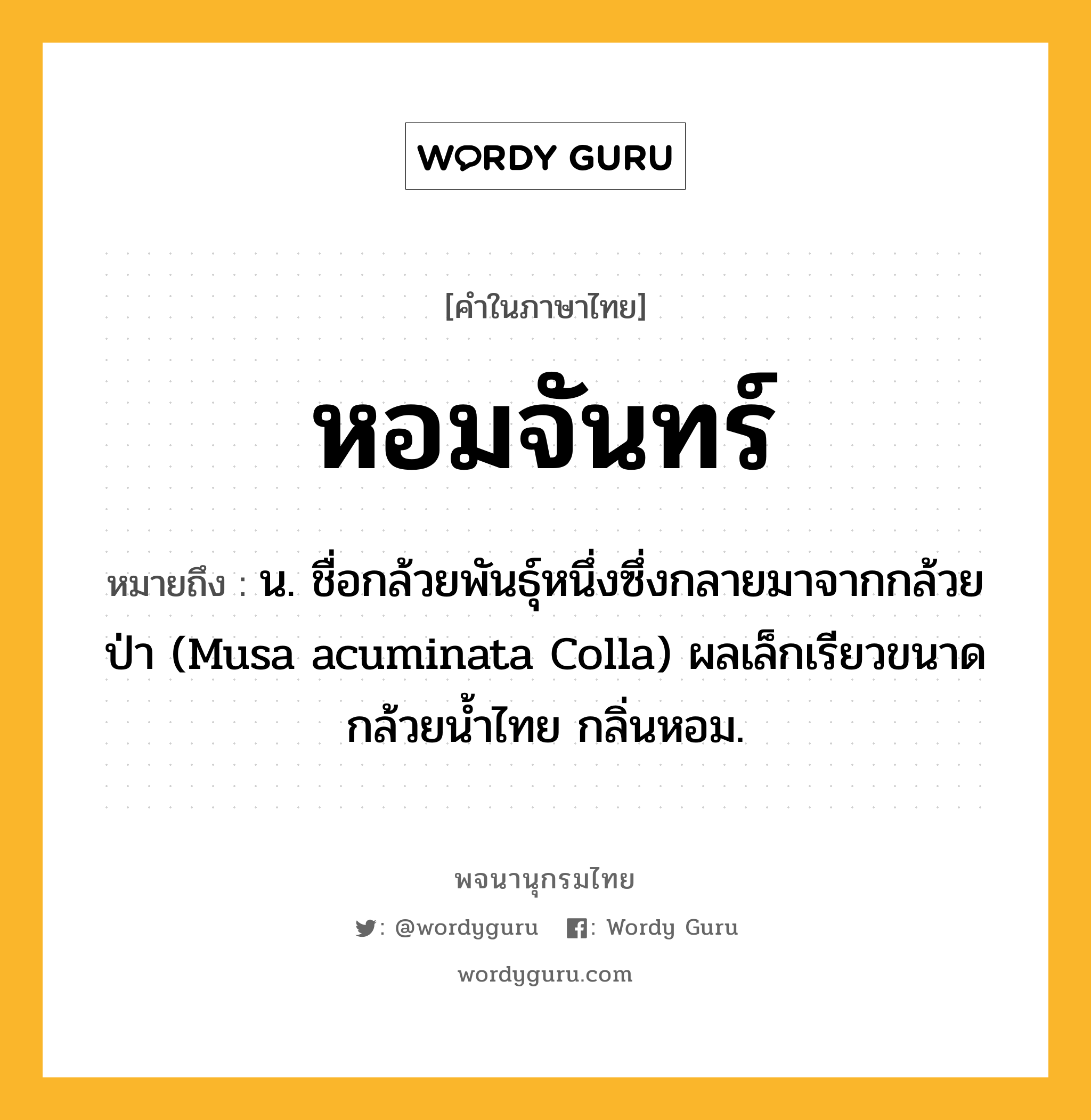 หอมจันทร์ ความหมาย หมายถึงอะไร?, คำในภาษาไทย หอมจันทร์ หมายถึง น. ชื่อกล้วยพันธุ์หนึ่งซึ่งกลายมาจากกล้วยป่า (Musa acuminata Colla) ผลเล็กเรียวขนาดกล้วยนํ้าไทย กลิ่นหอม.