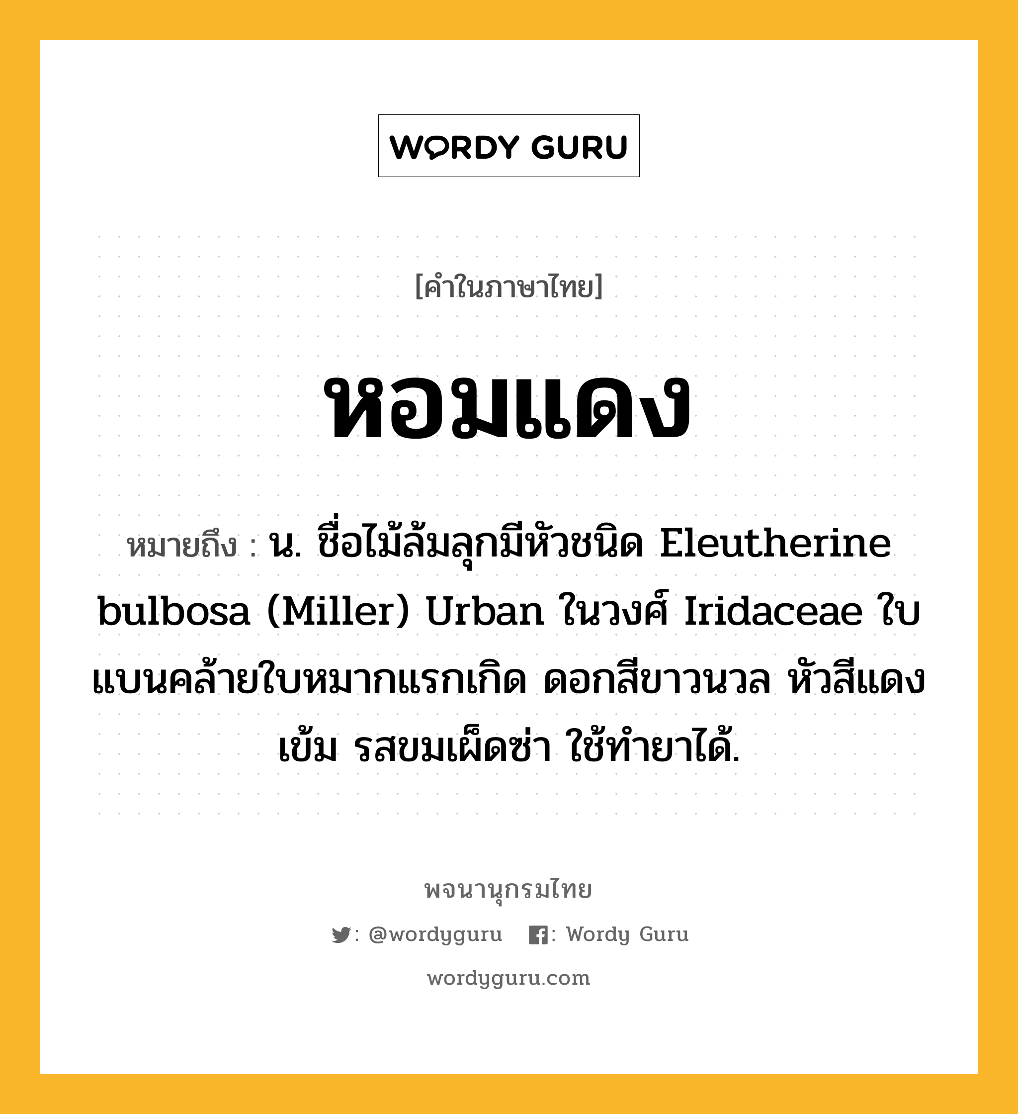 หอมแดง ความหมาย หมายถึงอะไร?, คำในภาษาไทย หอมแดง หมายถึง น. ชื่อไม้ล้มลุกมีหัวชนิด Eleutherine bulbosa (Miller) Urban ในวงศ์ Iridaceae ใบแบนคล้ายใบหมากแรกเกิด ดอกสีขาวนวล หัวสีแดงเข้ม รสขมเผ็ดซ่า ใช้ทํายาได้.