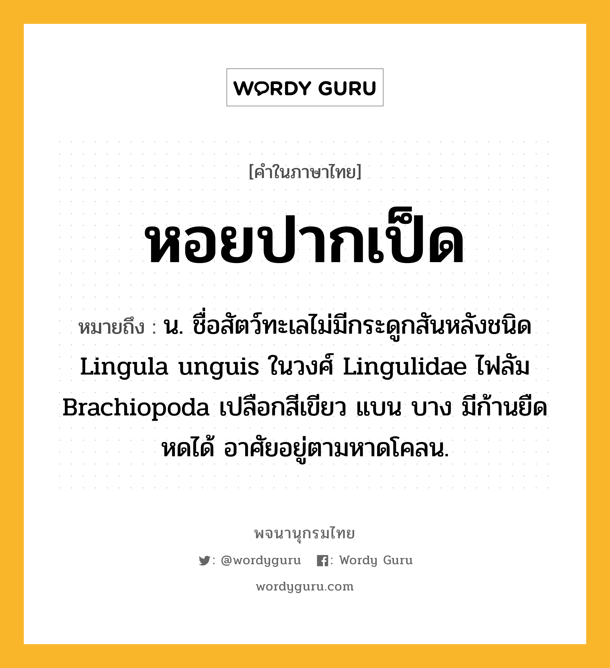 หอยปากเป็ด ความหมาย หมายถึงอะไร?, คำในภาษาไทย หอยปากเป็ด หมายถึง น. ชื่อสัตว์ทะเลไม่มีกระดูกสันหลังชนิด Lingula unguis ในวงศ์ Lingulidae ไฟลัม Brachiopoda เปลือกสีเขียว แบน บาง มีก้านยืดหดได้ อาศัยอยู่ตามหาดโคลน.