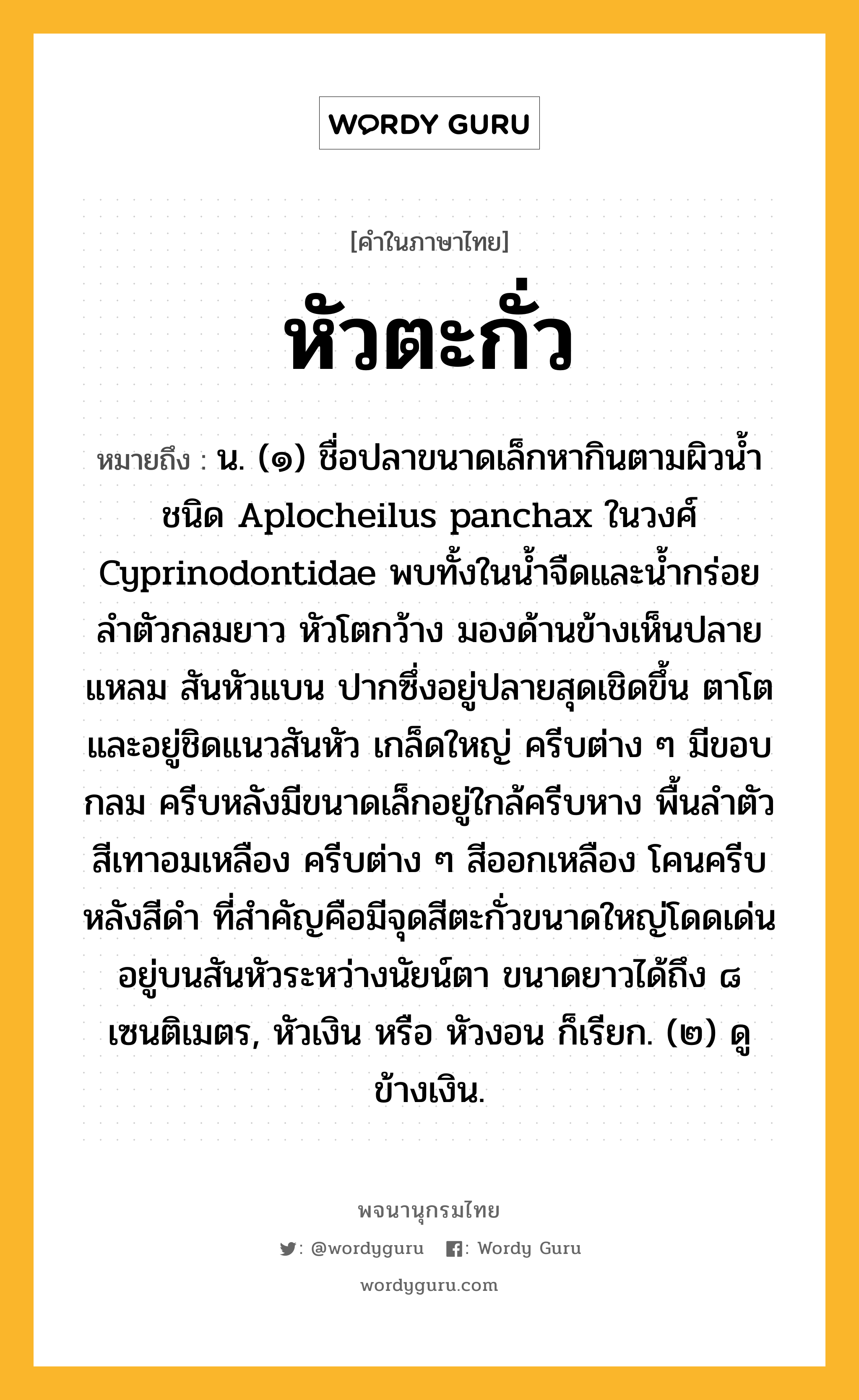 หัวตะกั่ว ความหมาย หมายถึงอะไร?, คำในภาษาไทย หัวตะกั่ว หมายถึง น. (๑) ชื่อปลาขนาดเล็กหากินตามผิวนํ้าชนิด Aplocheilus panchax ในวงศ์ Cyprinodontidae พบทั้งในนํ้าจืดและนํ้ากร่อย ลําตัวกลมยาว หัวโตกว้าง มองด้านข้างเห็นปลายแหลม สันหัวแบน ปากซึ่งอยู่ปลายสุดเชิดขึ้น ตาโตและอยู่ชิดแนวสันหัว เกล็ดใหญ่ ครีบต่าง ๆ มีขอบกลม ครีบหลังมีขนาดเล็กอยู่ใกล้ครีบหาง พื้นลําตัวสีเทาอมเหลือง ครีบต่าง ๆ สีออกเหลือง โคนครีบหลังสีดํา ที่สําคัญคือมีจุดสีตะกั่วขนาดใหญ่โดดเด่นอยู่บนสันหัวระหว่างนัยน์ตา ขนาดยาวได้ถึง ๘ เซนติเมตร, หัวเงิน หรือ หัวงอน ก็เรียก. (๒) ดู ข้างเงิน.