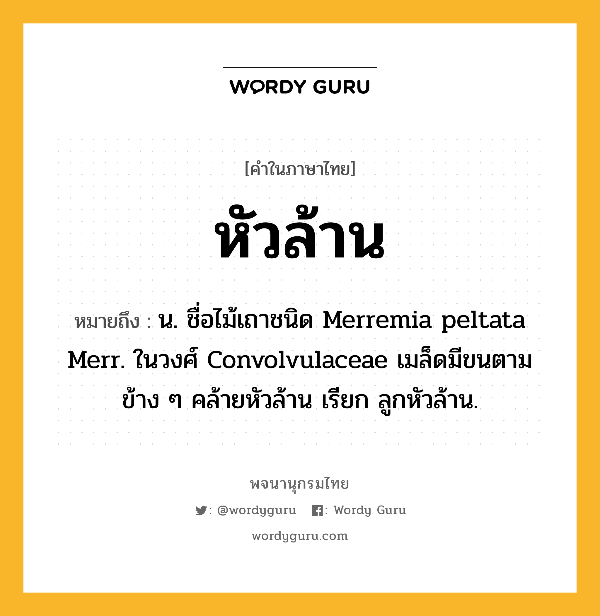 หัวล้าน ความหมาย หมายถึงอะไร?, คำในภาษาไทย หัวล้าน หมายถึง น. ชื่อไม้เถาชนิด Merremia peltata Merr. ในวงศ์ Convolvulaceae เมล็ดมีขนตามข้าง ๆ คล้ายหัวล้าน เรียก ลูกหัวล้าน.