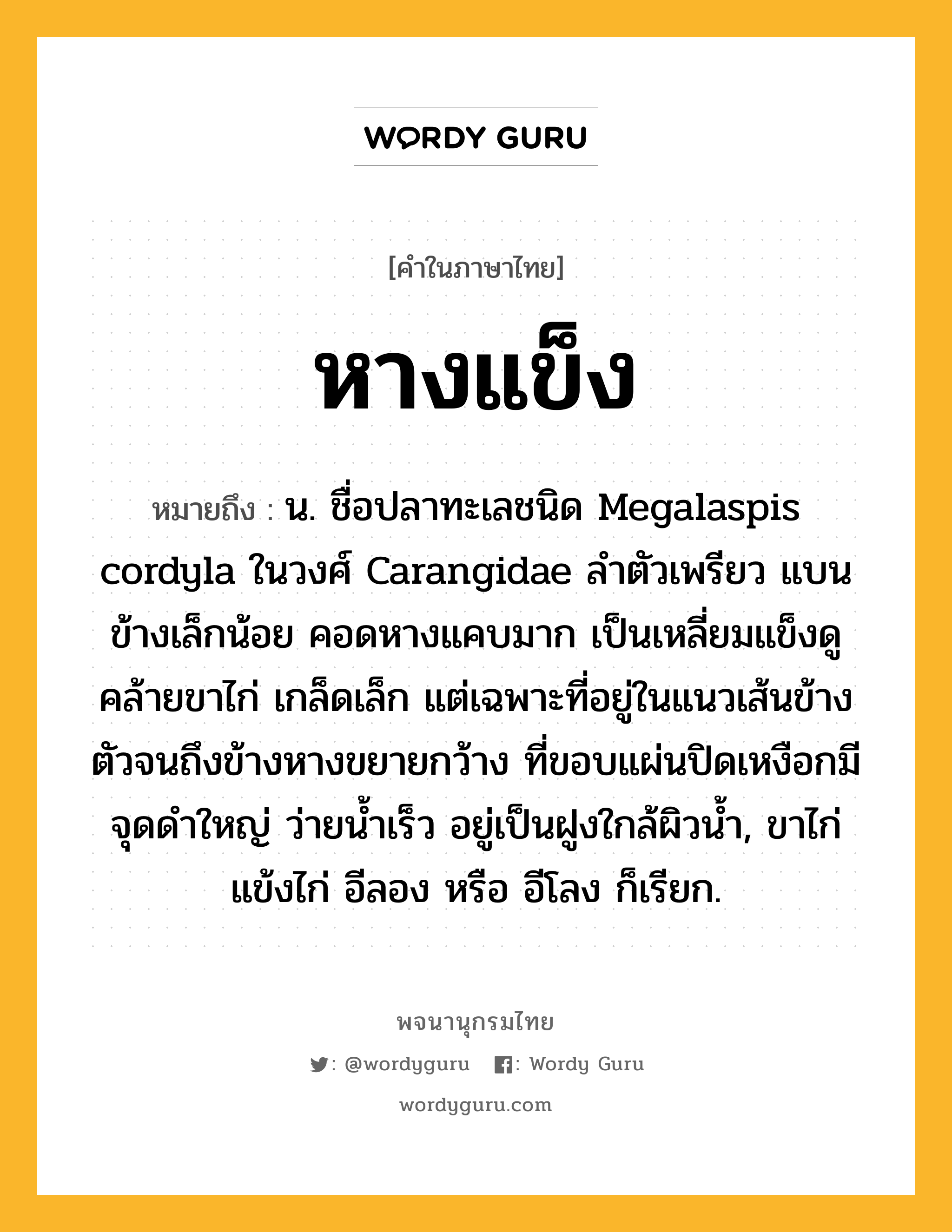 หางแข็ง ความหมาย หมายถึงอะไร?, คำในภาษาไทย หางแข็ง หมายถึง น. ชื่อปลาทะเลชนิด Megalaspis cordyla ในวงศ์ Carangidae ลำตัวเพรียว แบนข้างเล็กน้อย คอดหางแคบมาก เป็นเหลี่ยมแข็งดูคล้ายขาไก่ เกล็ดเล็ก แต่เฉพาะที่อยู่ในแนวเส้นข้างตัวจนถึงข้างหางขยายกว้าง ที่ขอบแผ่นปิดเหงือกมีจุดดำใหญ่ ว่ายน้ำเร็ว อยู่เป็นฝูงใกล้ผิวน้ำ, ขาไก่ แข้งไก่ อีลอง หรือ อีโลง ก็เรียก.