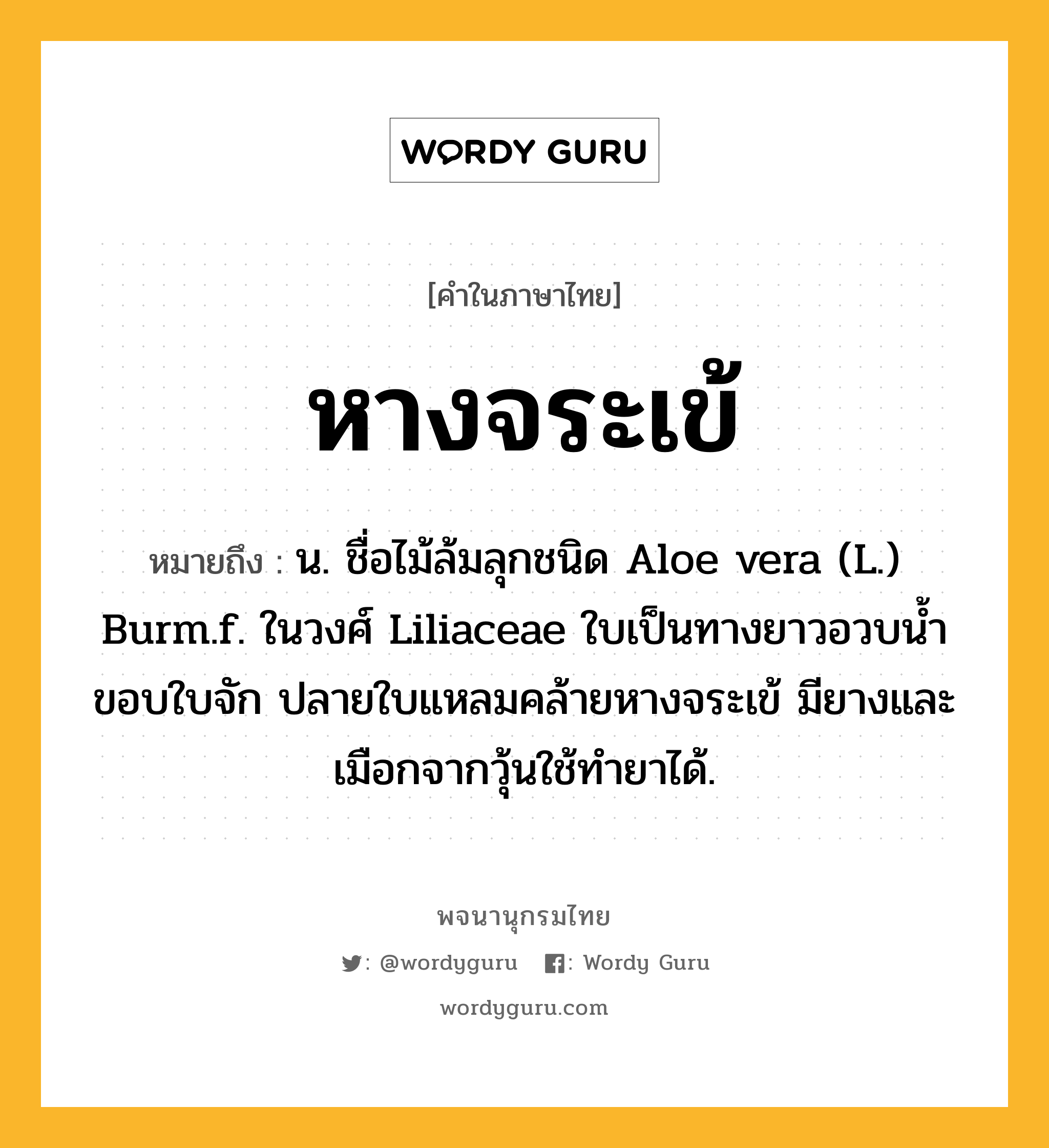 หางจระเข้ ความหมาย หมายถึงอะไร?, คำในภาษาไทย หางจระเข้ หมายถึง น. ชื่อไม้ล้มลุกชนิด Aloe vera (L.) Burm.f. ในวงศ์ Liliaceae ใบเป็นทางยาวอวบนํ้า ขอบใบจัก ปลายใบแหลมคล้ายหางจระเข้ มียางและเมือกจากวุ้นใช้ทํายาได้.