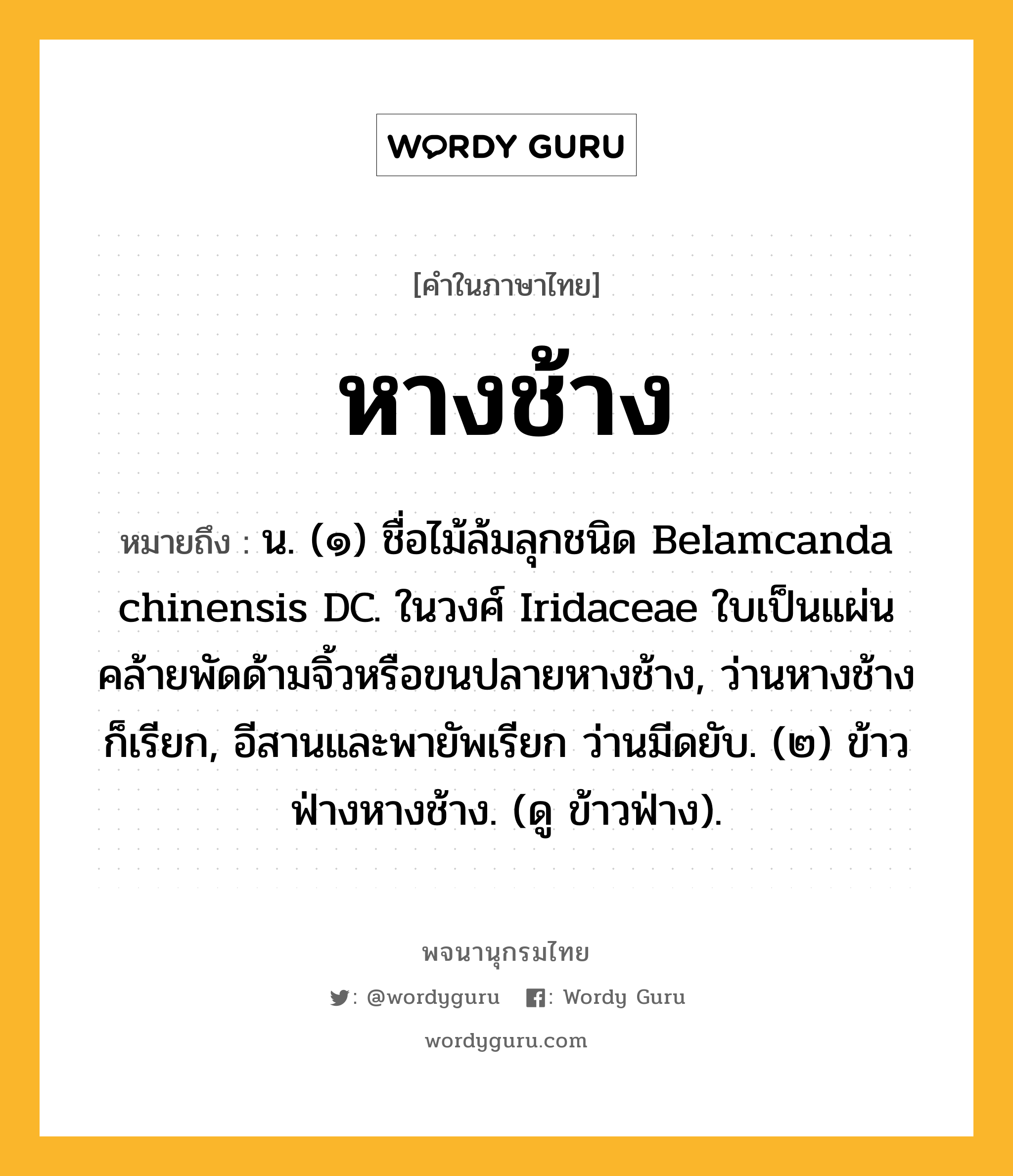 หางช้าง ความหมาย หมายถึงอะไร?, คำในภาษาไทย หางช้าง หมายถึง น. (๑) ชื่อไม้ล้มลุกชนิด Belamcanda chinensis DC. ในวงศ์ Iridaceae ใบเป็นแผ่นคล้ายพัดด้ามจิ้วหรือขนปลายหางช้าง, ว่านหางช้าง ก็เรียก, อีสานและพายัพเรียก ว่านมีดยับ. (๒) ข้าวฟ่างหางช้าง. (ดู ข้าวฟ่าง).