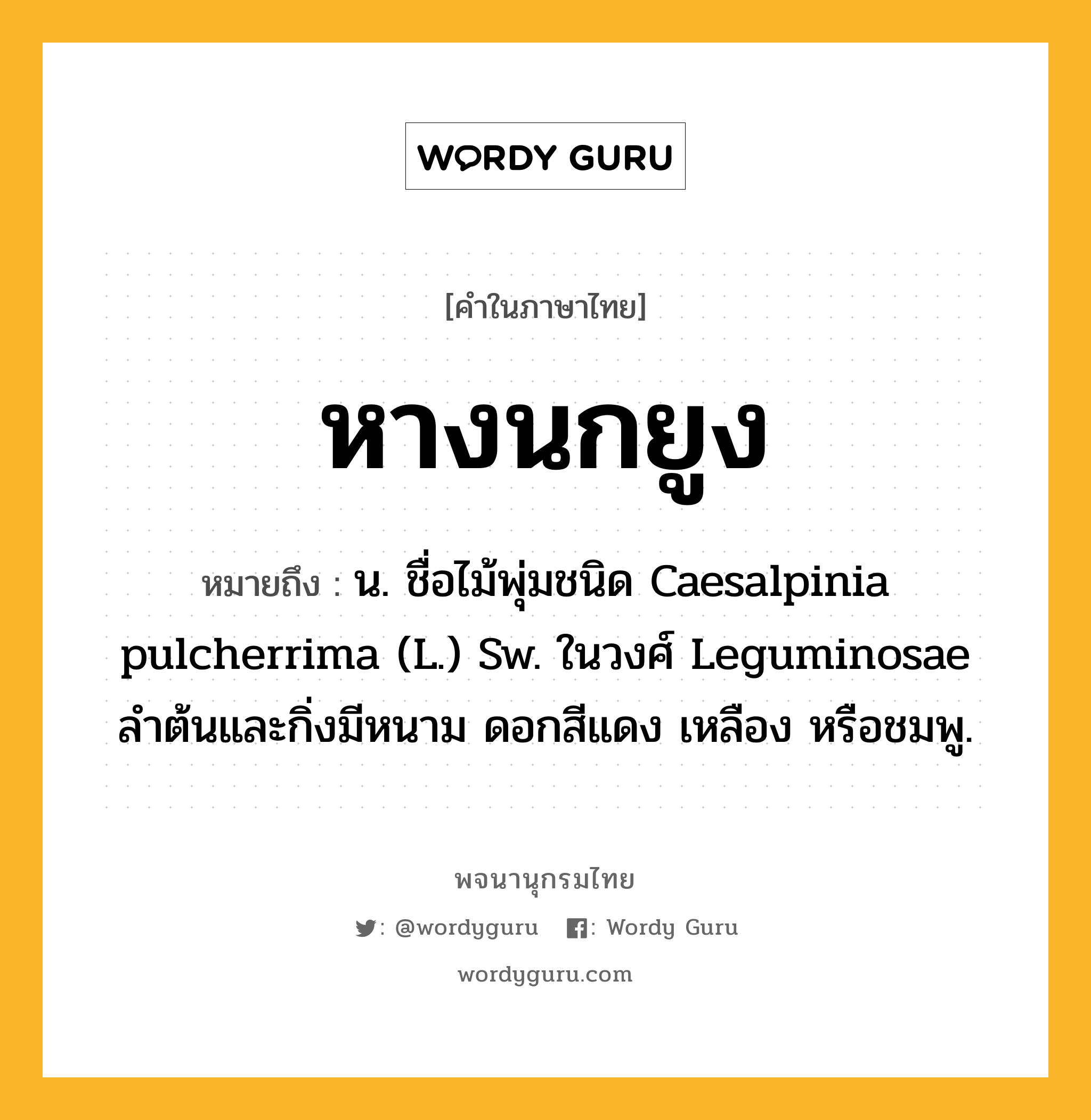 หางนกยูง ความหมาย หมายถึงอะไร?, คำในภาษาไทย หางนกยูง หมายถึง น. ชื่อไม้พุ่มชนิด Caesalpinia pulcherrima (L.) Sw. ในวงศ์ Leguminosae ลําต้นและกิ่งมีหนาม ดอกสีแดง เหลือง หรือชมพู.