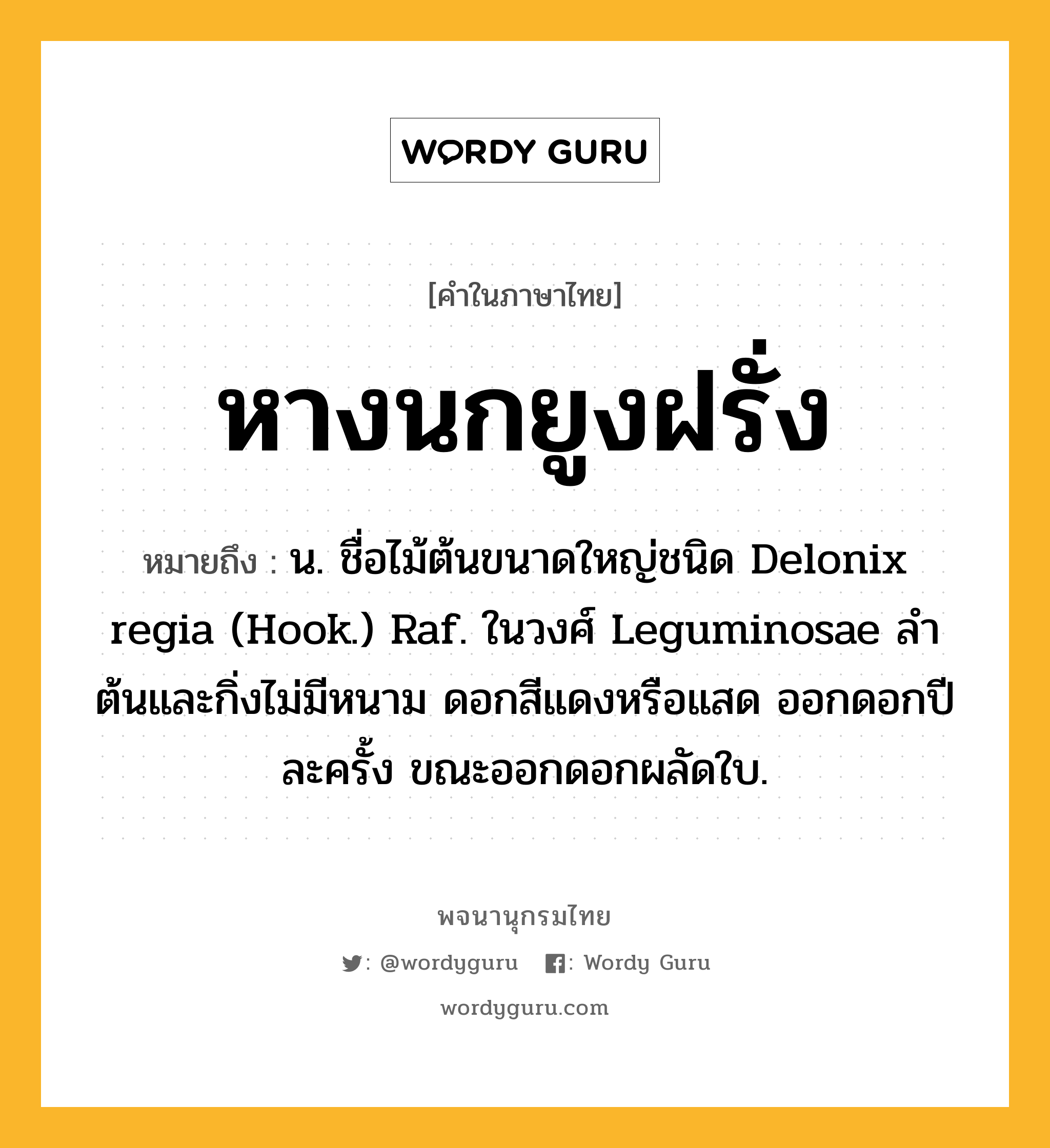 หางนกยูงฝรั่ง ความหมาย หมายถึงอะไร?, คำในภาษาไทย หางนกยูงฝรั่ง หมายถึง น. ชื่อไม้ต้นขนาดใหญ่ชนิด Delonix regia (Hook.) Raf. ในวงศ์ Leguminosae ลําต้นและกิ่งไม่มีหนาม ดอกสีแดงหรือแสด ออกดอกปีละครั้ง ขณะออกดอกผลัดใบ.