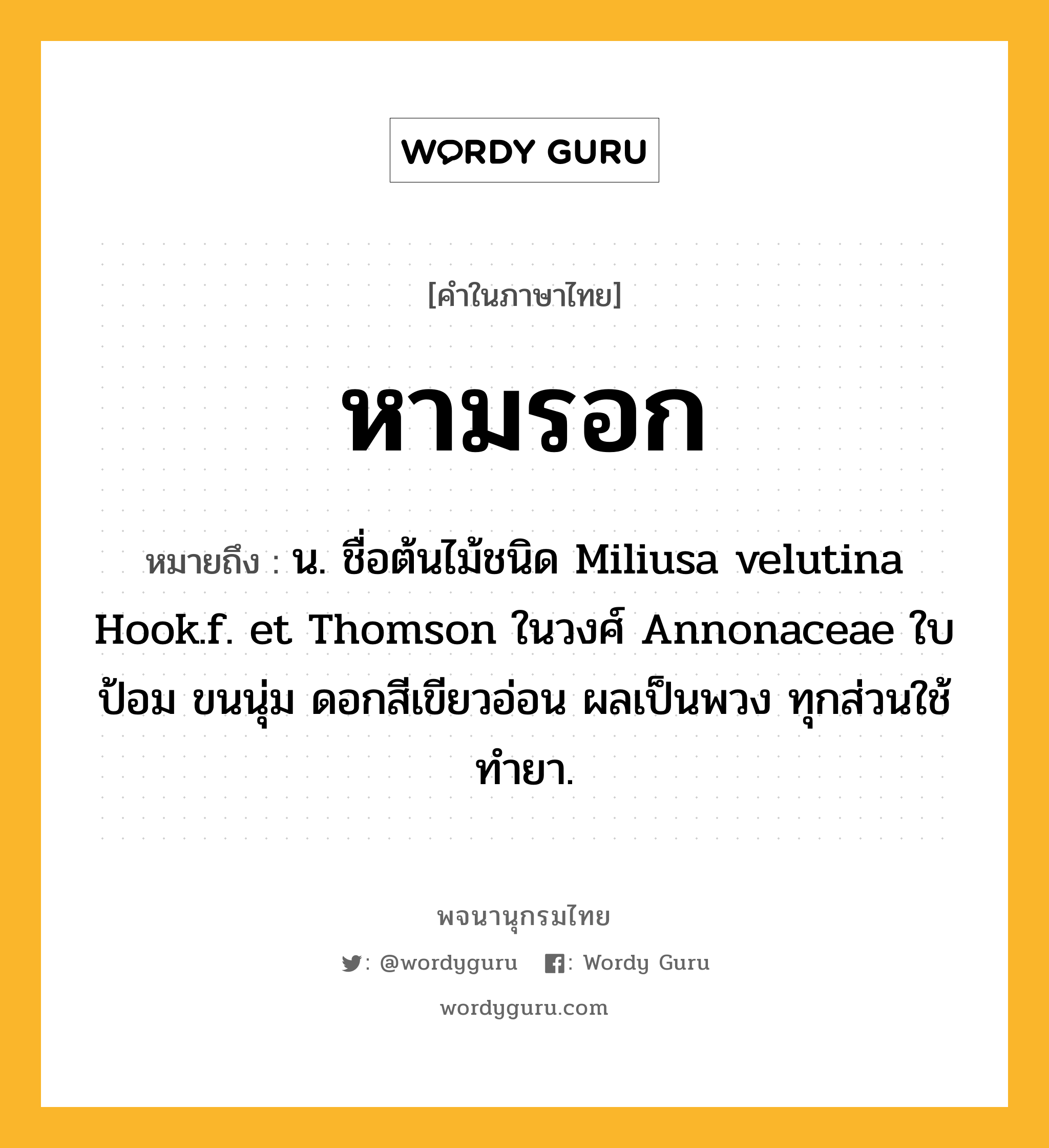 หามรอก ความหมาย หมายถึงอะไร?, คำในภาษาไทย หามรอก หมายถึง น. ชื่อต้นไม้ชนิด Miliusa velutina Hook.f. et Thomson ในวงศ์ Annonaceae ใบป้อม ขนนุ่ม ดอกสีเขียวอ่อน ผลเป็นพวง ทุกส่วนใช้ทำยา.