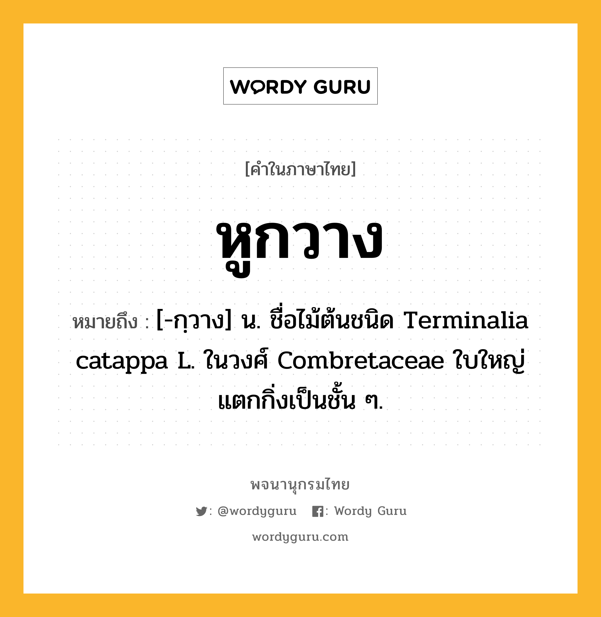 หูกวาง ความหมาย หมายถึงอะไร?, คำในภาษาไทย หูกวาง หมายถึง [-กฺวาง] น. ชื่อไม้ต้นชนิด Terminalia catappa L. ในวงศ์ Combretaceae ใบใหญ่ แตกกิ่งเป็นชั้น ๆ.