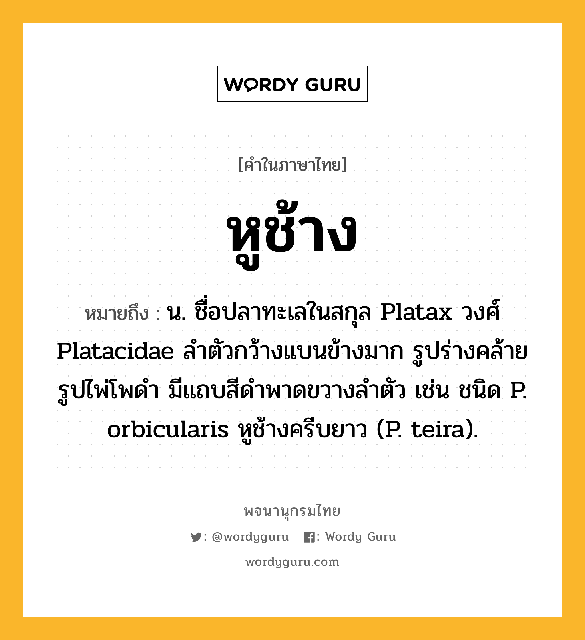 หูช้าง ความหมาย หมายถึงอะไร?, คำในภาษาไทย หูช้าง หมายถึง น. ชื่อปลาทะเลในสกุล Platax วงศ์ Platacidae ลําตัวกว้างแบนข้างมาก รูปร่างคล้ายรูปไพ่โพดํา มีแถบสีดําพาดขวางลําตัว เช่น ชนิด P. orbicularis หูช้างครีบยาว (P. teira).