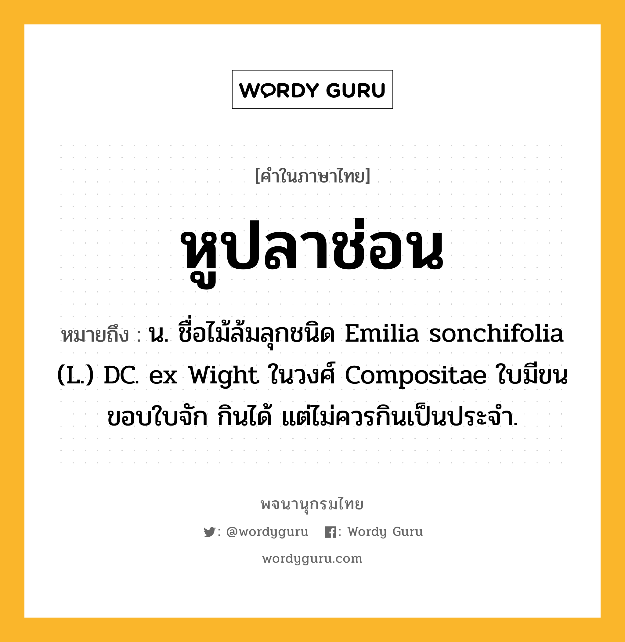 หูปลาช่อน ความหมาย หมายถึงอะไร?, คำในภาษาไทย หูปลาช่อน หมายถึง น. ชื่อไม้ล้มลุกชนิด Emilia sonchifolia (L.) DC. ex Wight ในวงศ์ Compositae ใบมีขน ขอบใบจัก กินได้ แต่ไม่ควรกินเป็นประจํา.