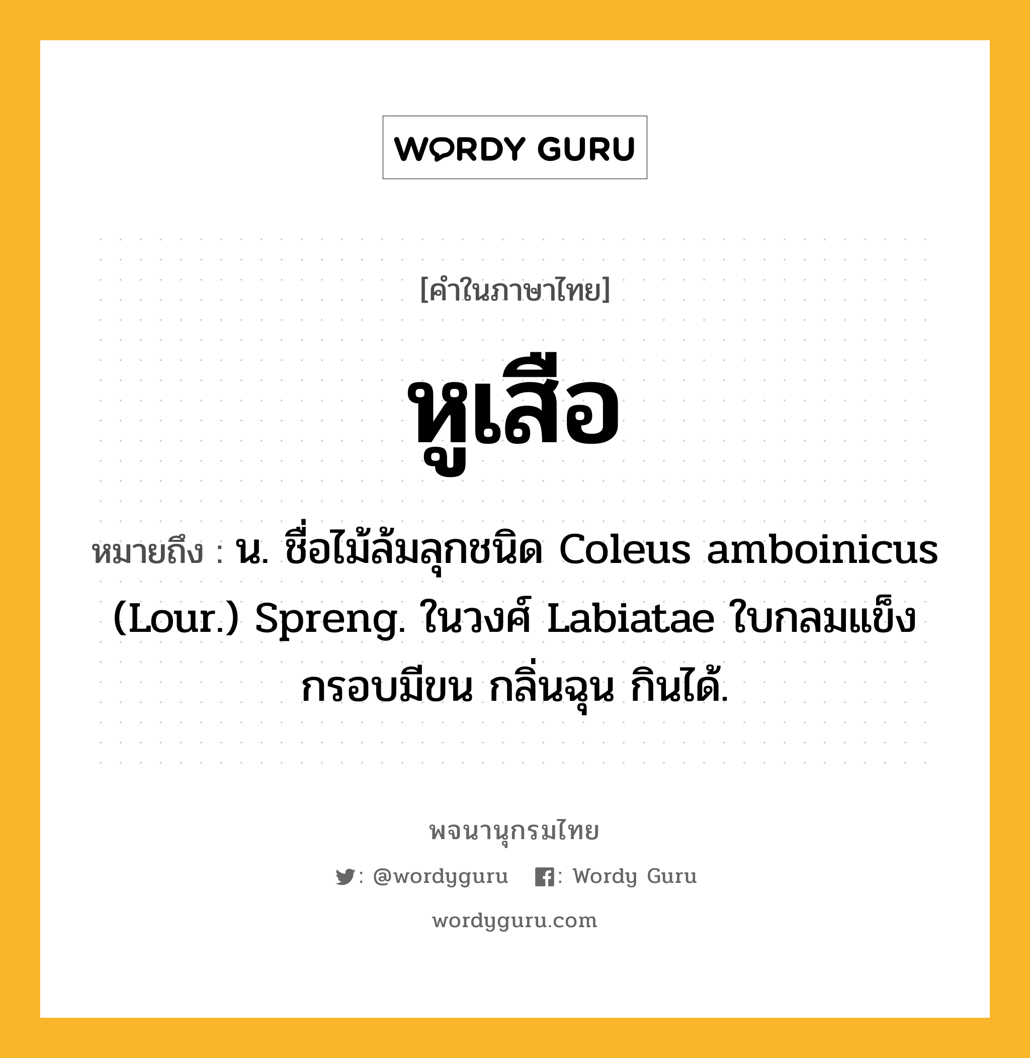 หูเสือ ความหมาย หมายถึงอะไร?, คำในภาษาไทย หูเสือ หมายถึง น. ชื่อไม้ล้มลุกชนิด Coleus amboinicus (Lour.) Spreng. ในวงศ์ Labiatae ใบกลมแข็งกรอบมีขน กลิ่นฉุน กินได้.