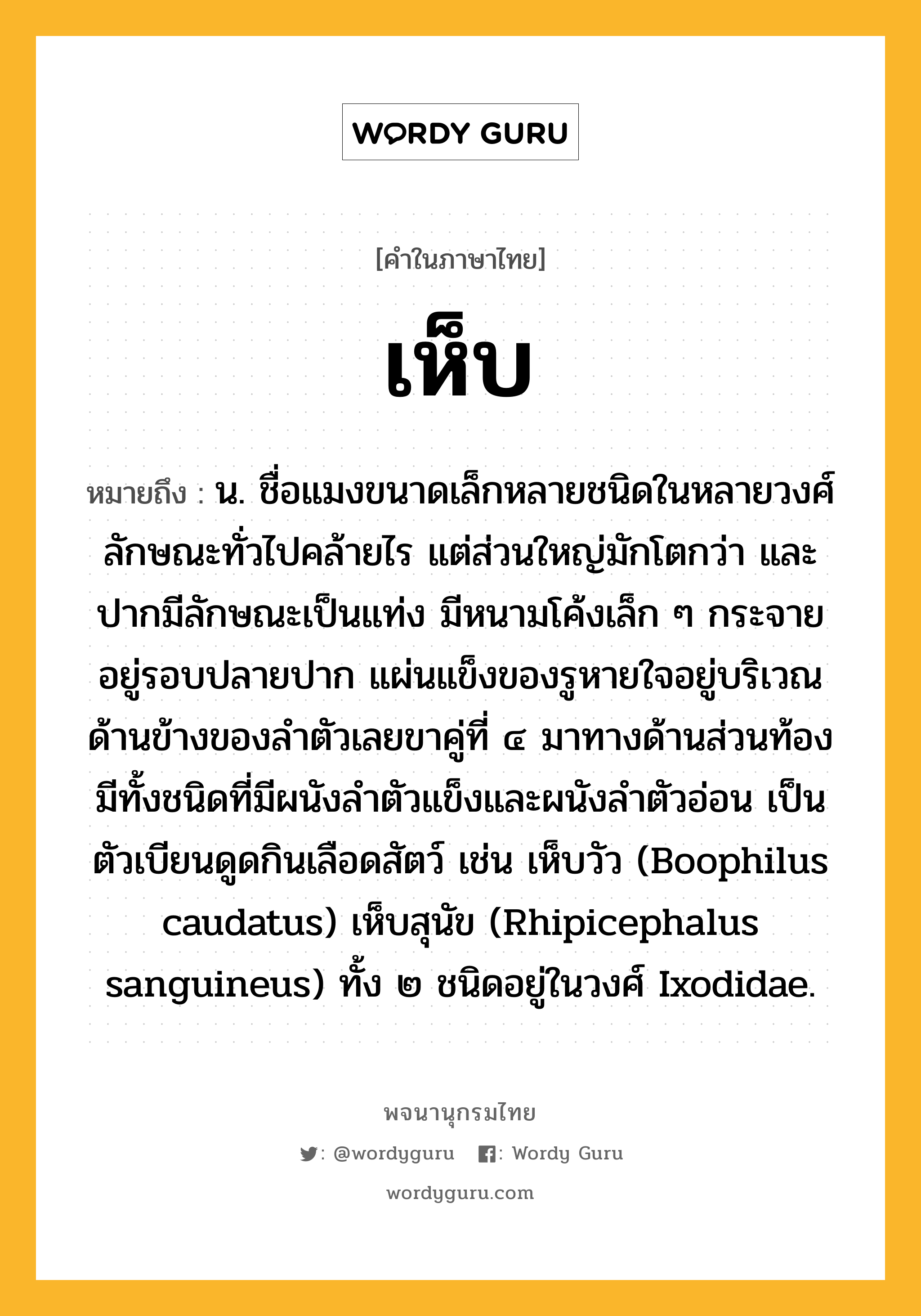 เห็บ ความหมาย หมายถึงอะไร?, คำในภาษาไทย เห็บ หมายถึง น. ชื่อแมงขนาดเล็กหลายชนิดในหลายวงศ์ ลักษณะทั่วไปคล้ายไร แต่ส่วนใหญ่มักโตกว่า และปากมีลักษณะเป็นแท่ง มีหนามโค้งเล็ก ๆ กระจายอยู่รอบปลายปาก แผ่นแข็งของรูหายใจอยู่บริเวณด้านข้างของลําตัวเลยขาคู่ที่ ๔ มาทางด้านส่วนท้อง มีทั้งชนิดที่มีผนังลําตัวแข็งและผนังลําตัวอ่อน เป็นตัวเบียนดูดกินเลือดสัตว์ เช่น เห็บวัว (Boophilus caudatus) เห็บสุนัข (Rhipicephalus sanguineus) ทั้ง ๒ ชนิดอยู่ในวงศ์ Ixodidae.