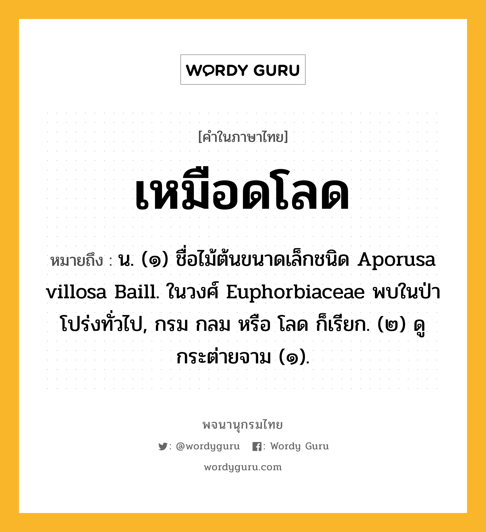 เหมือดโลด ความหมาย หมายถึงอะไร?, คำในภาษาไทย เหมือดโลด หมายถึง น. (๑) ชื่อไม้ต้นขนาดเล็กชนิด Aporusa villosa Baill. ในวงศ์ Euphorbiaceae พบในป่าโปร่งทั่วไป, กรม กลม หรือ โลด ก็เรียก. (๒) ดู กระต่ายจาม (๑).