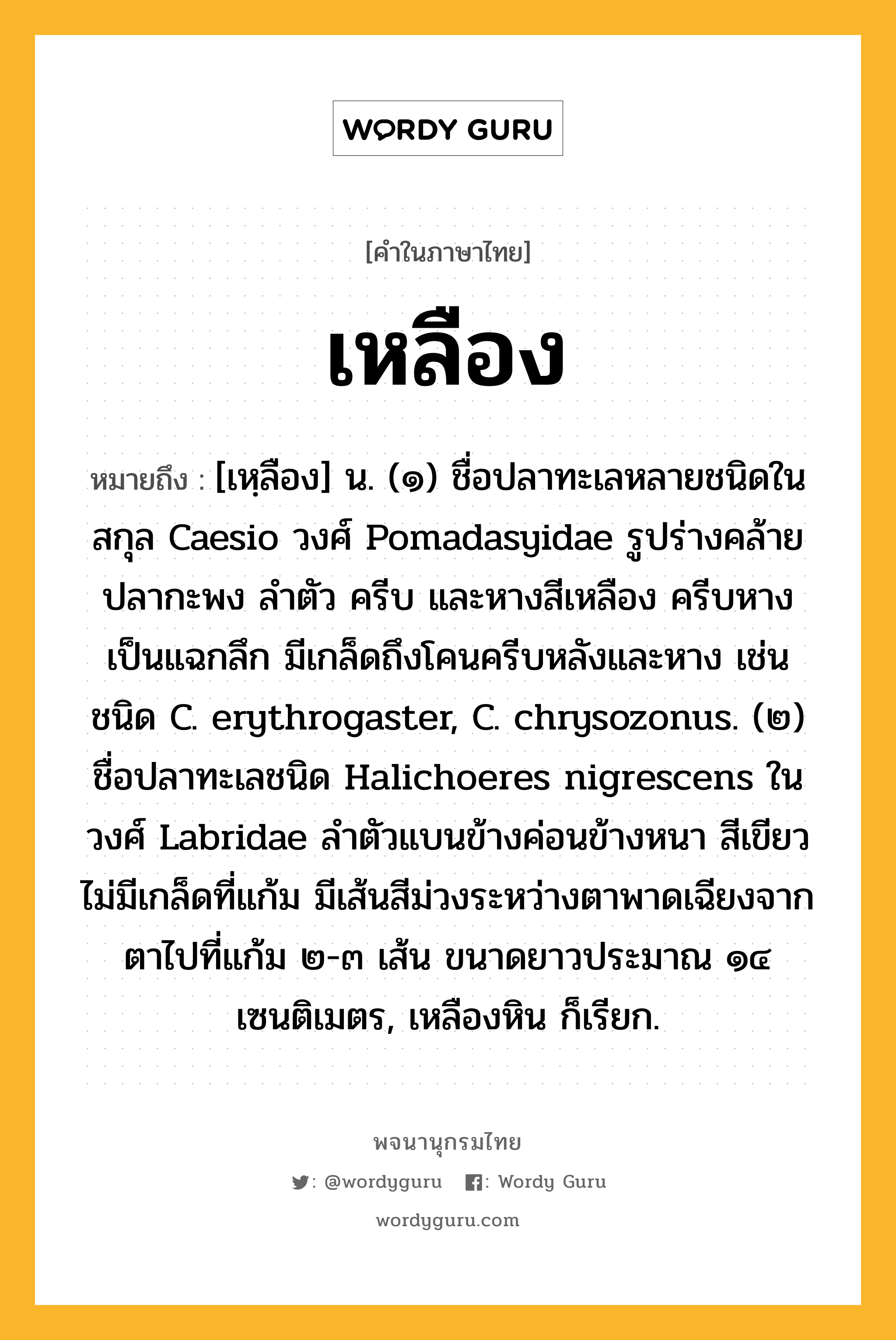 เหลือง ความหมาย หมายถึงอะไร?, คำในภาษาไทย เหลือง หมายถึง [เหฺลือง] น. (๑) ชื่อปลาทะเลหลายชนิดในสกุล Caesio วงศ์ Pomadasyidae รูปร่างคล้ายปลากะพง ลําตัว ครีบ และหางสีเหลือง ครีบหางเป็นแฉกลึก มีเกล็ดถึงโคนครีบหลังและหาง เช่น ชนิด C. erythrogaster, C. chrysozonus. (๒) ชื่อปลาทะเลชนิด Halichoeres nigrescens ในวงศ์ Labridae ลําตัวแบนข้างค่อนข้างหนา สีเขียว ไม่มีเกล็ดที่แก้ม มีเส้นสีม่วงระหว่างตาพาดเฉียงจากตาไปที่แก้ม ๒-๓ เส้น ขนาดยาวประมาณ ๑๔ เซนติเมตร, เหลืองหิน ก็เรียก.