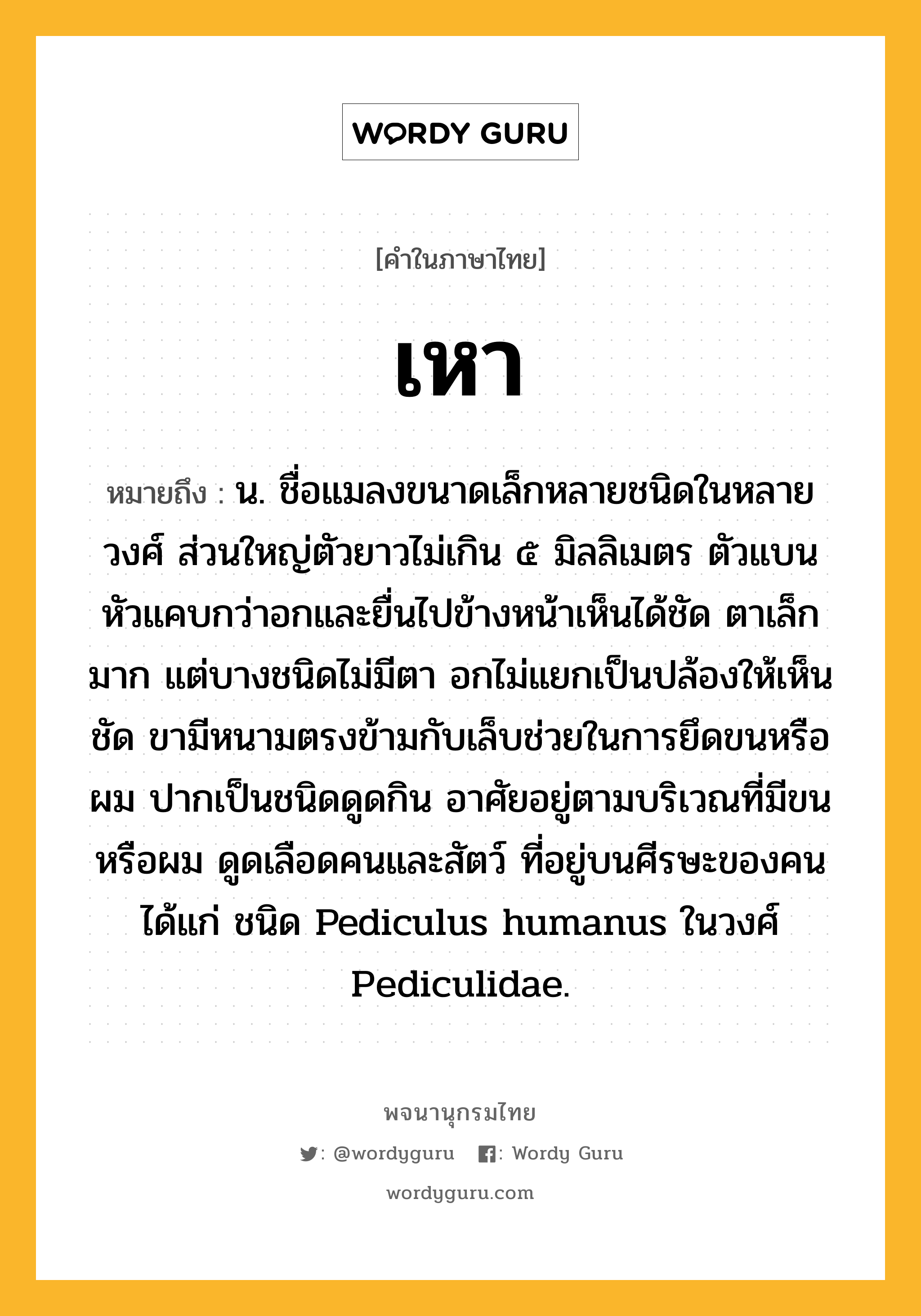 เหา ความหมาย หมายถึงอะไร?, คำในภาษาไทย เหา หมายถึง น. ชื่อแมลงขนาดเล็กหลายชนิดในหลายวงศ์ ส่วนใหญ่ตัวยาวไม่เกิน ๕ มิลลิเมตร ตัวแบน หัวแคบกว่าอกและยื่นไปข้างหน้าเห็นได้ชัด ตาเล็กมาก แต่บางชนิดไม่มีตา อกไม่แยกเป็นปล้องให้เห็นชัด ขามีหนามตรงข้ามกับเล็บช่วยในการยึดขนหรือผม ปากเป็นชนิดดูดกิน อาศัยอยู่ตามบริเวณที่มีขนหรือผม ดูดเลือดคนและสัตว์ ที่อยู่บนศีรษะของคนได้แก่ ชนิด Pediculus humanus ในวงศ์ Pediculidae.