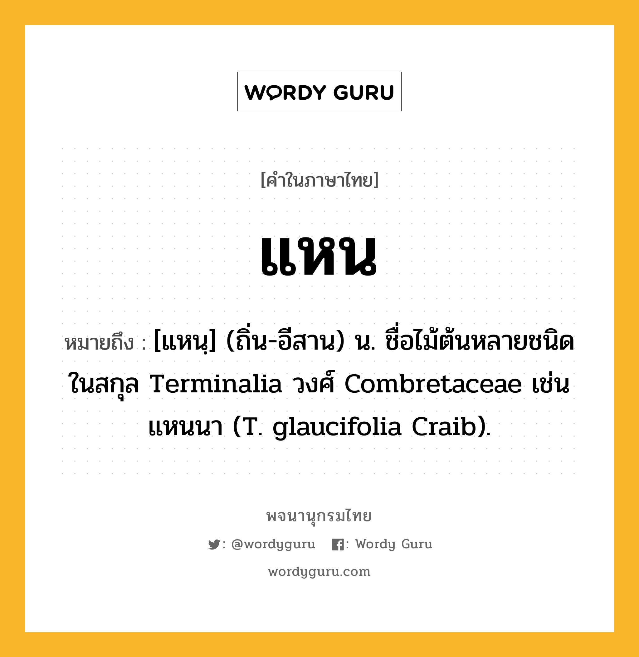 แหน ความหมาย หมายถึงอะไร?, คำในภาษาไทย แหน หมายถึง [แหนฺ] (ถิ่น-อีสาน) น. ชื่อไม้ต้นหลายชนิดในสกุล Terminalia วงศ์ Combretaceae เช่น แหนนา (T. glaucifolia Craib).