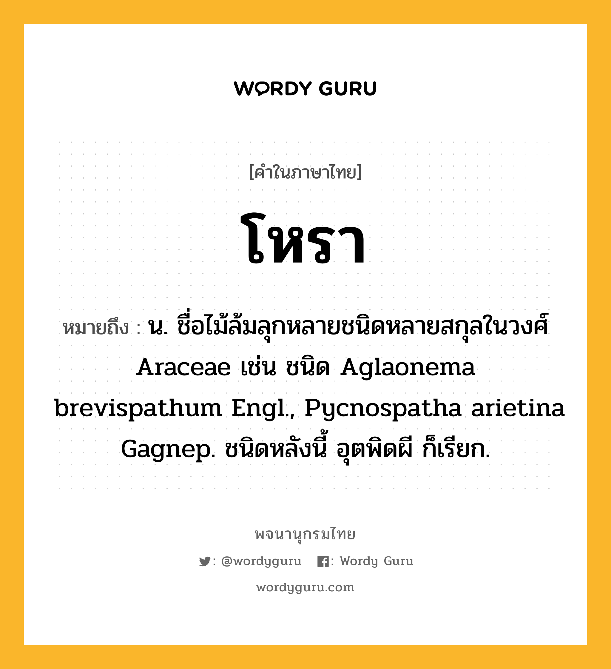 โหรา ความหมาย หมายถึงอะไร?, คำในภาษาไทย โหรา หมายถึง น. ชื่อไม้ล้มลุกหลายชนิดหลายสกุลในวงศ์ Araceae เช่น ชนิด Aglaonema brevispathum Engl., Pycnospatha arietina Gagnep. ชนิดหลังนี้ อุตพิดผี ก็เรียก.