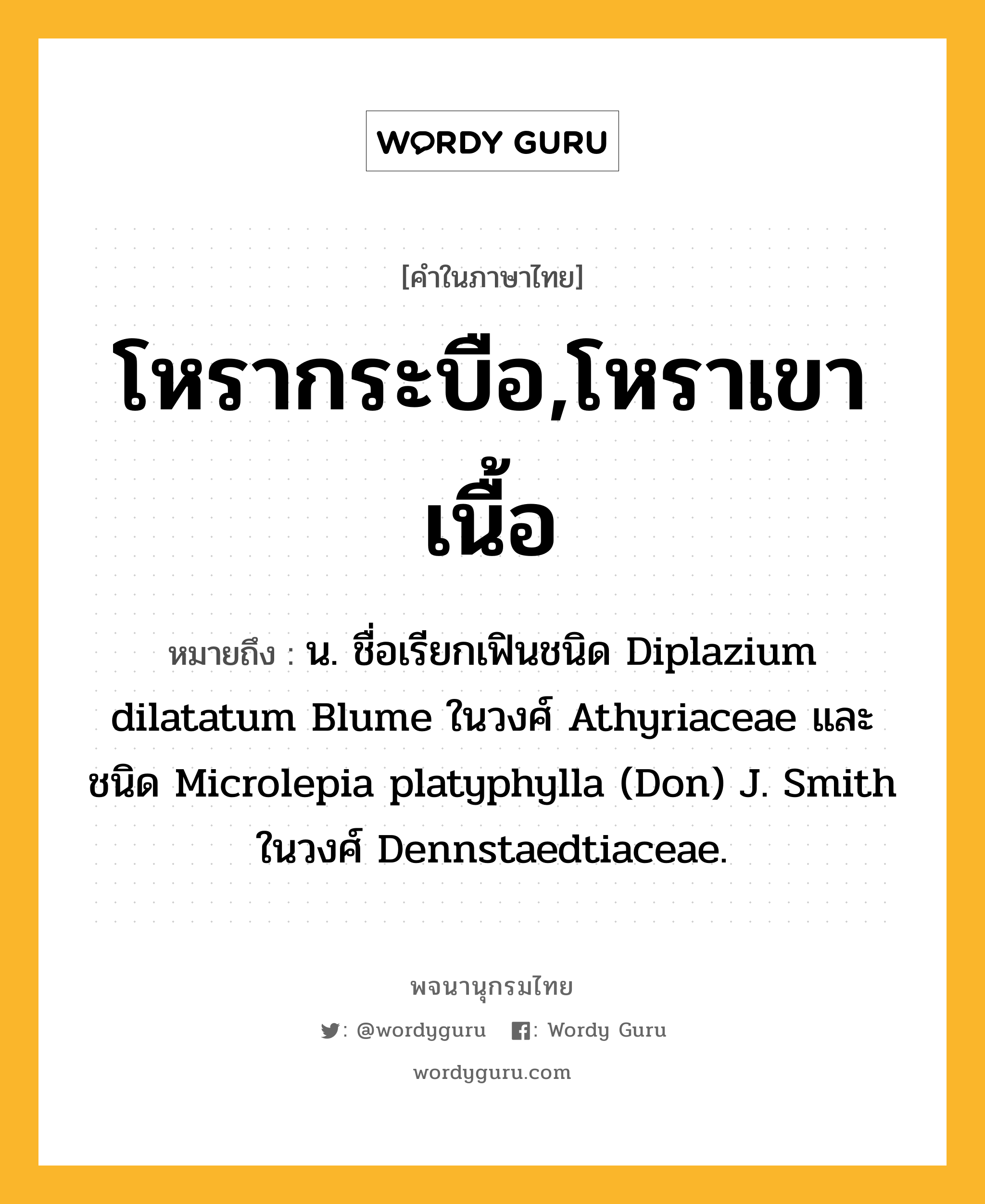 โหรากระบือ,โหราเขาเนื้อ ความหมาย หมายถึงอะไร?, คำในภาษาไทย โหรากระบือ,โหราเขาเนื้อ หมายถึง น. ชื่อเรียกเฟินชนิด Diplazium dilatatum Blume ในวงศ์ Athyriaceae และชนิด Microlepia platyphylla (Don) J. Smith ในวงศ์ Dennstaedtiaceae.