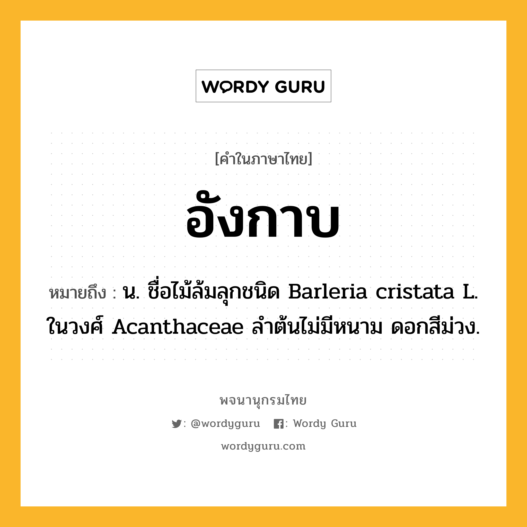 อังกาบ ความหมาย หมายถึงอะไร?, คำในภาษาไทย อังกาบ หมายถึง น. ชื่อไม้ล้มลุกชนิด Barleria cristata L. ในวงศ์ Acanthaceae ลําต้นไม่มีหนาม ดอกสีม่วง.