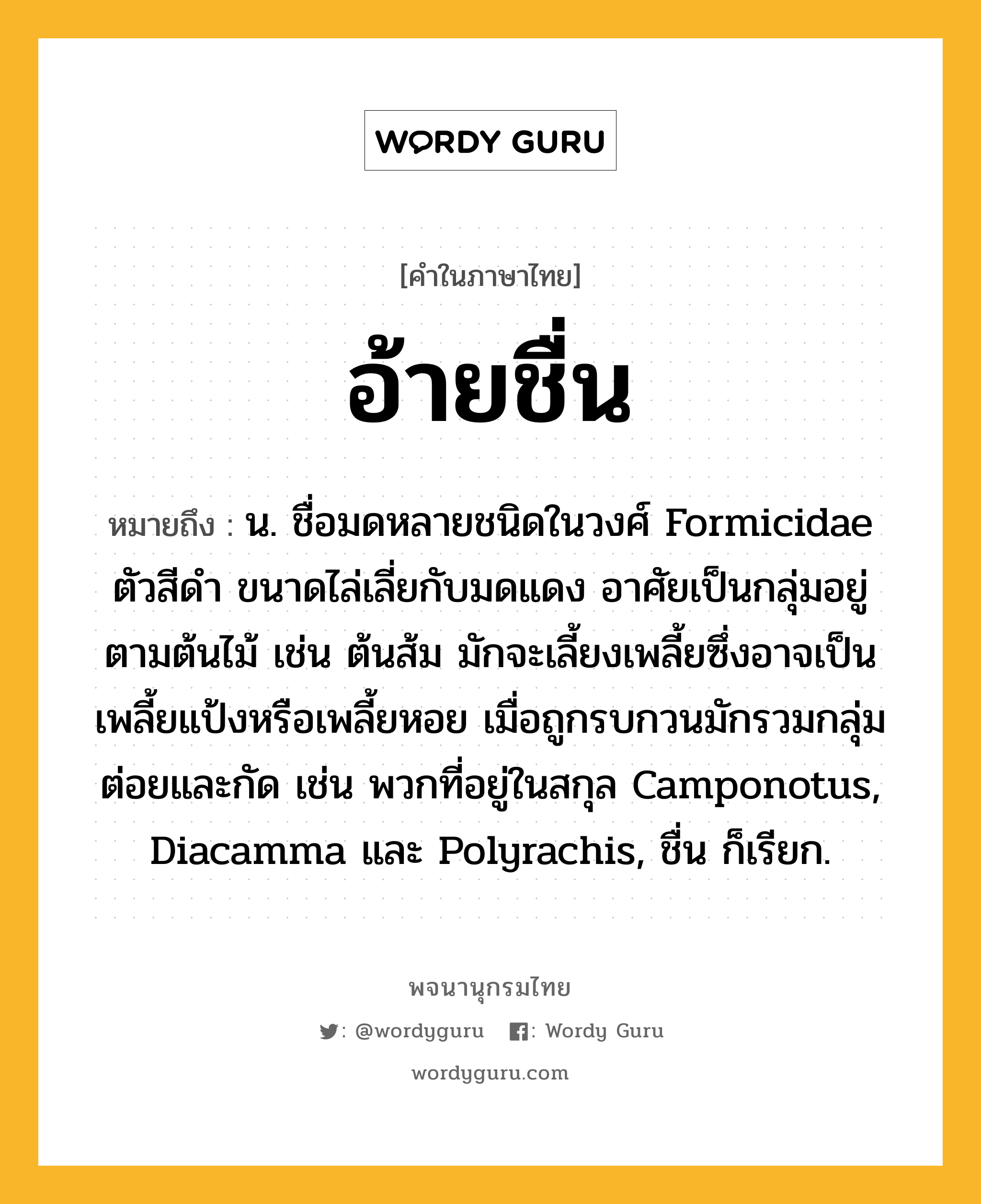 อ้ายชื่น ความหมาย หมายถึงอะไร?, คำในภาษาไทย อ้ายชื่น หมายถึง น. ชื่อมดหลายชนิดในวงศ์ Formicidae ตัวสีดํา ขนาดไล่เลี่ยกับมดแดง อาศัยเป็นกลุ่มอยู่ตามต้นไม้ เช่น ต้นส้ม มักจะเลี้ยงเพลี้ยซึ่งอาจเป็นเพลี้ยแป้งหรือเพลี้ยหอย เมื่อถูกรบกวนมักรวมกลุ่มต่อยและกัด เช่น พวกที่อยู่ในสกุล Camponotus, Diacamma และ Polyrachis, ชื่น ก็เรียก.