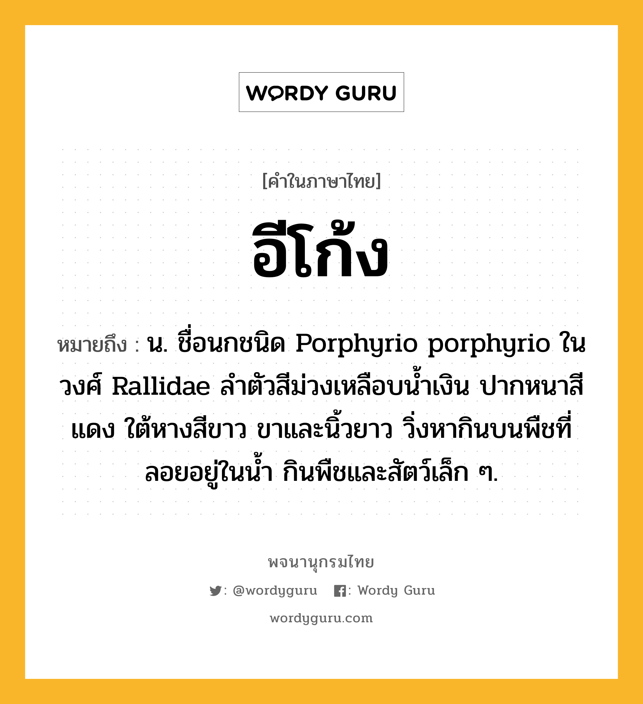 อีโก้ง ความหมาย หมายถึงอะไร?, คำในภาษาไทย อีโก้ง หมายถึง น. ชื่อนกชนิด Porphyrio porphyrio ในวงศ์ Rallidae ลําตัวสีม่วงเหลือบนํ้าเงิน ปากหนาสีแดง ใต้หางสีขาว ขาและนิ้วยาว วิ่งหากินบนพืชที่ลอยอยู่ในนํ้า กินพืชและสัตว์เล็ก ๆ.