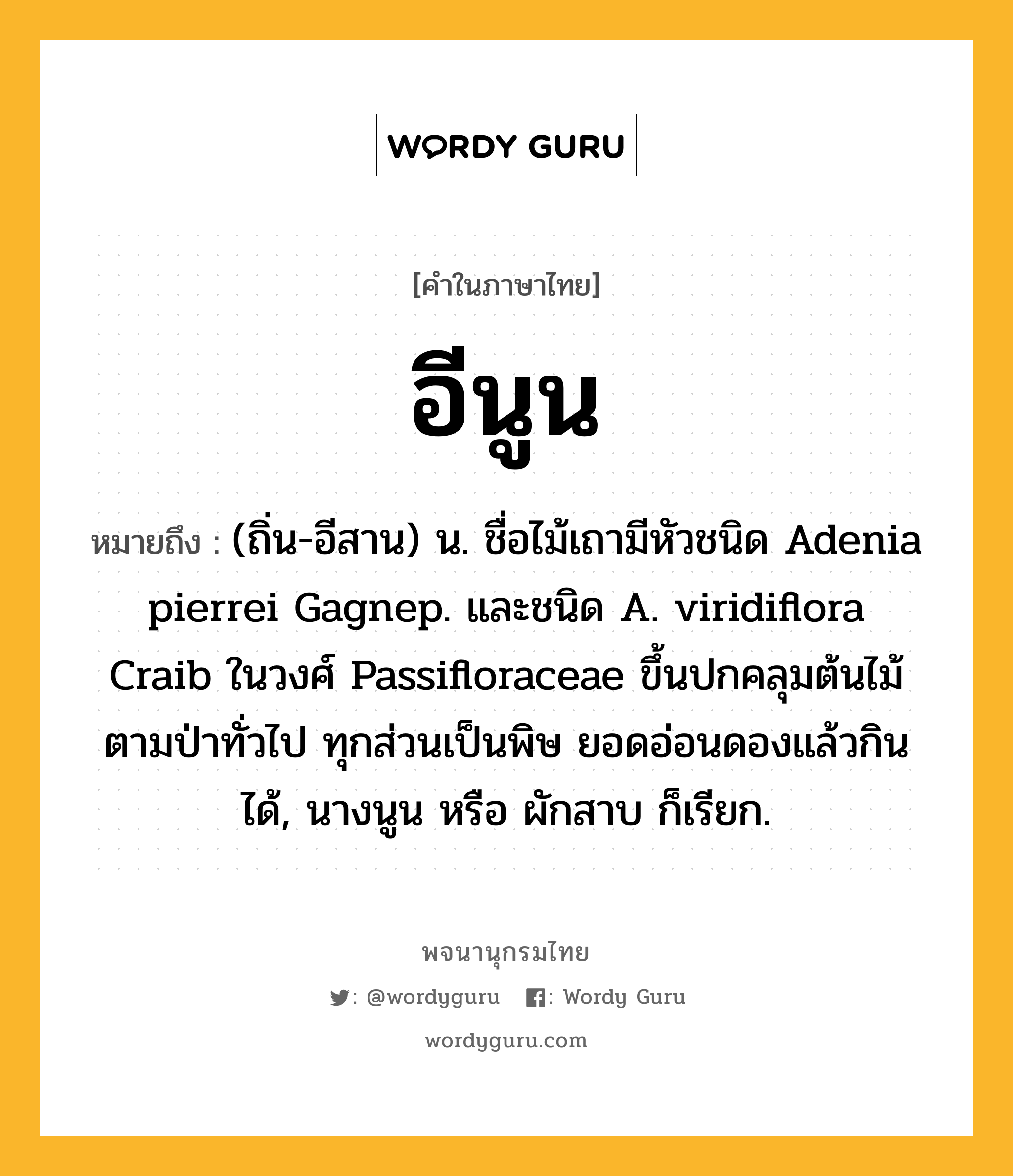 อีนูน ความหมาย หมายถึงอะไร?, คำในภาษาไทย อีนูน หมายถึง (ถิ่น-อีสาน) น. ชื่อไม้เถามีหัวชนิด Adenia pierrei Gagnep. และชนิด A. viridiflora Craib ในวงศ์ Passifloraceae ขึ้นปกคลุมต้นไม้ตามป่าทั่วไป ทุกส่วนเป็นพิษ ยอดอ่อนดองแล้วกินได้, นางนูน หรือ ผักสาบ ก็เรียก.