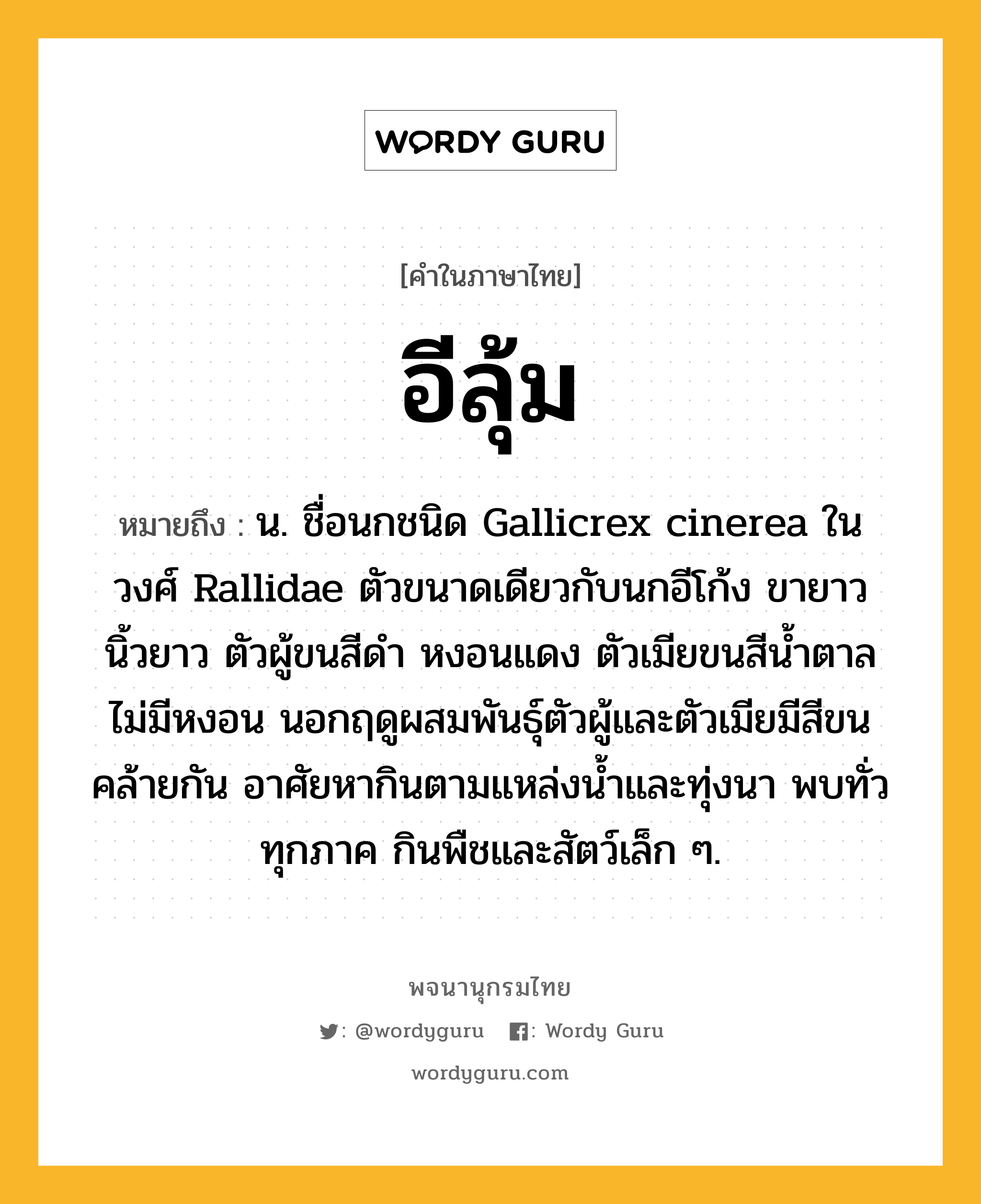 อีลุ้ม ความหมาย หมายถึงอะไร?, คำในภาษาไทย อีลุ้ม หมายถึง น. ชื่อนกชนิด Gallicrex cinerea ในวงศ์ Rallidae ตัวขนาดเดียวกับนกอีโก้ง ขายาว นิ้วยาว ตัวผู้ขนสีดํา หงอนแดง ตัวเมียขนสีนํ้าตาล ไม่มีหงอน นอกฤดูผสมพันธุ์ตัวผู้และตัวเมียมีสีขนคล้ายกัน อาศัยหากินตามแหล่งน้ำและทุ่งนา พบทั่วทุกภาค กินพืชและสัตว์เล็ก ๆ.