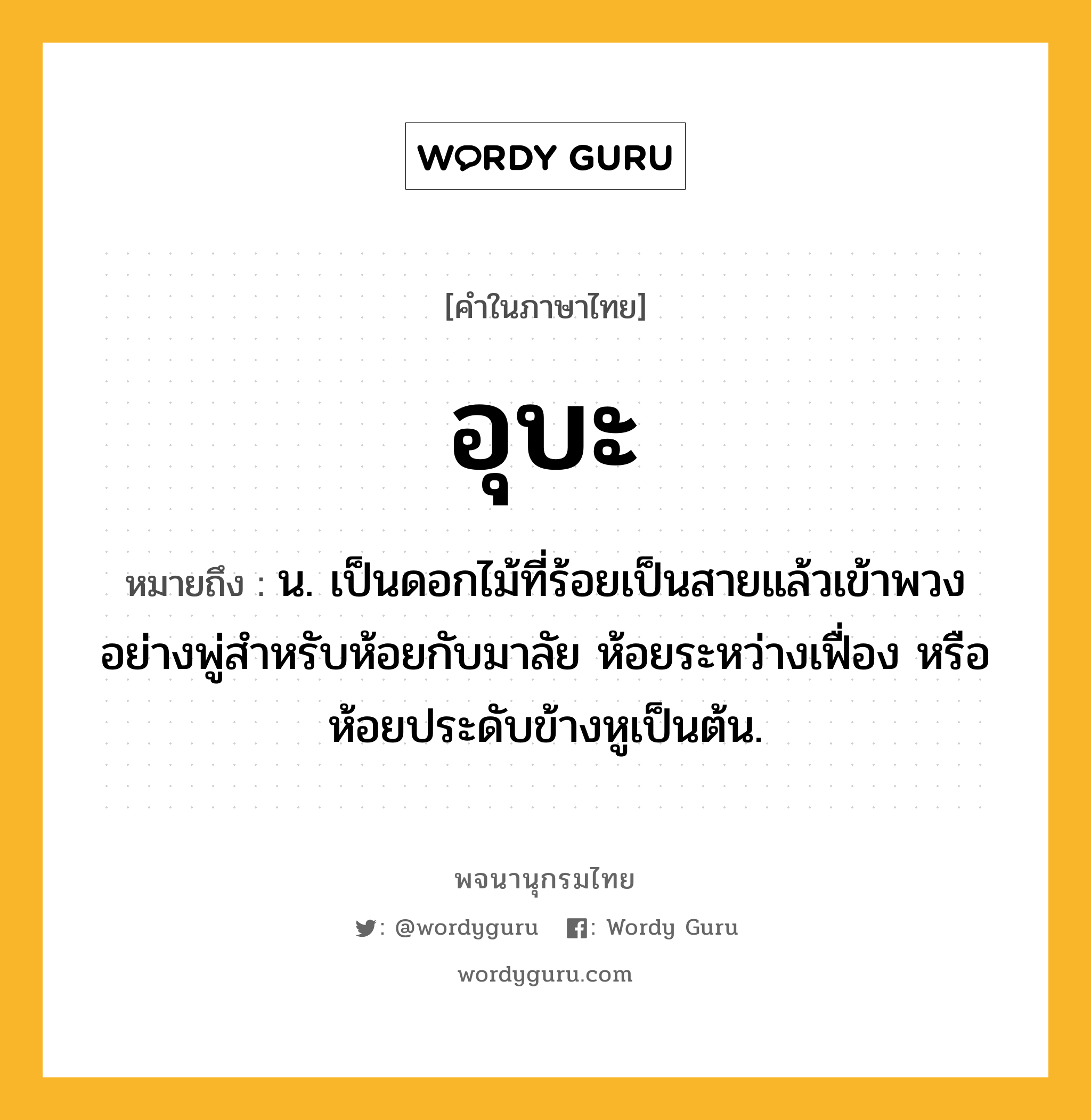 อุบะ ความหมาย หมายถึงอะไร?, คำในภาษาไทย อุบะ หมายถึง น. เป็นดอกไม้ที่ร้อยเป็นสายแล้วเข้าพวงอย่างพู่สำหรับห้อยกับมาลัย ห้อยระหว่างเฟื่อง หรือห้อยประดับข้างหูเป็นต้น.