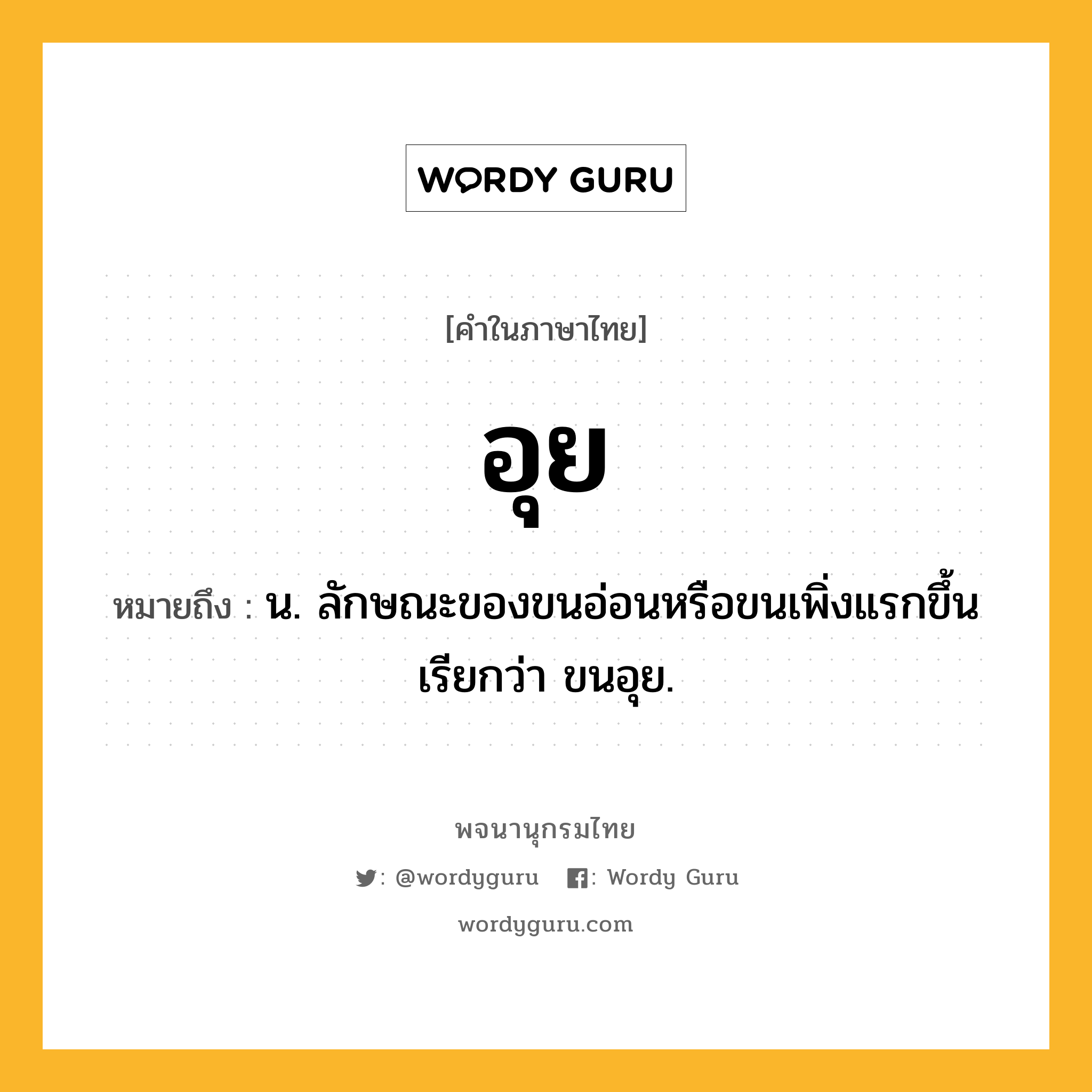 อุย ความหมาย หมายถึงอะไร?, คำในภาษาไทย อุย หมายถึง น. ลักษณะของขนอ่อนหรือขนเพิ่งแรกขึ้น เรียกว่า ขนอุย.