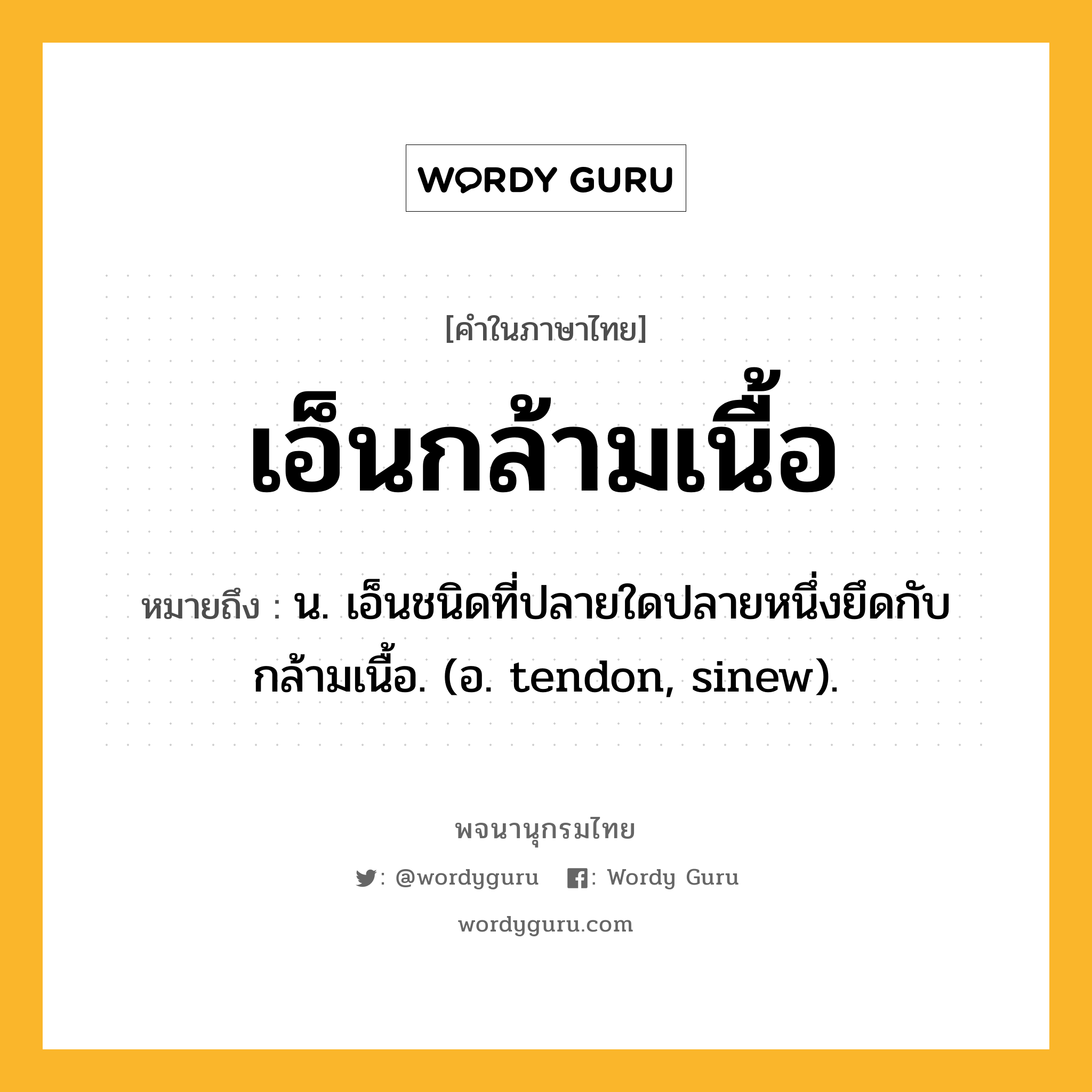 เอ็นกล้ามเนื้อ ความหมาย หมายถึงอะไร?, คำในภาษาไทย เอ็นกล้ามเนื้อ หมายถึง น. เอ็นชนิดที่ปลายใดปลายหนึ่งยึดกับกล้ามเนื้อ. (อ. tendon, sinew).