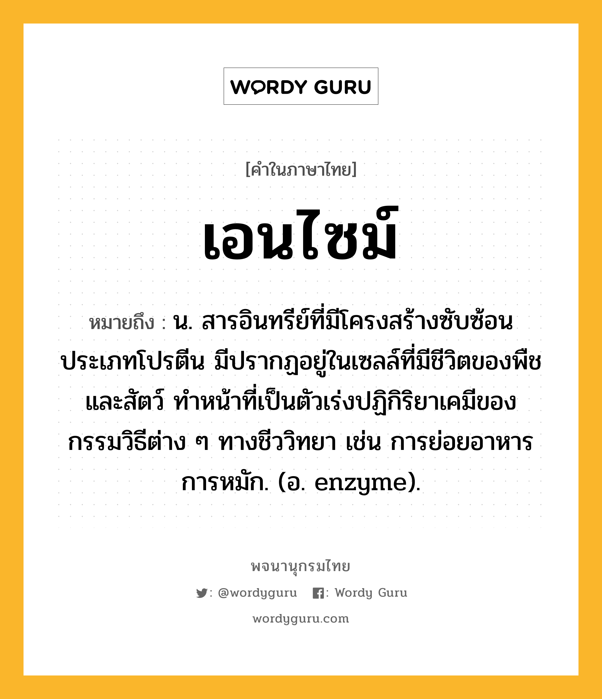 เอนไซม์ ความหมาย หมายถึงอะไร?, คำในภาษาไทย เอนไซม์ หมายถึง น. สารอินทรีย์ที่มีโครงสร้างซับซ้อนประเภทโปรตีน มีปรากฏอยู่ในเซลล์ที่มีชีวิตของพืชและสัตว์ ทําหน้าที่เป็นตัวเร่งปฏิกิริยาเคมีของกรรมวิธีต่าง ๆ ทางชีววิทยา เช่น การย่อยอาหาร การหมัก. (อ. enzyme).