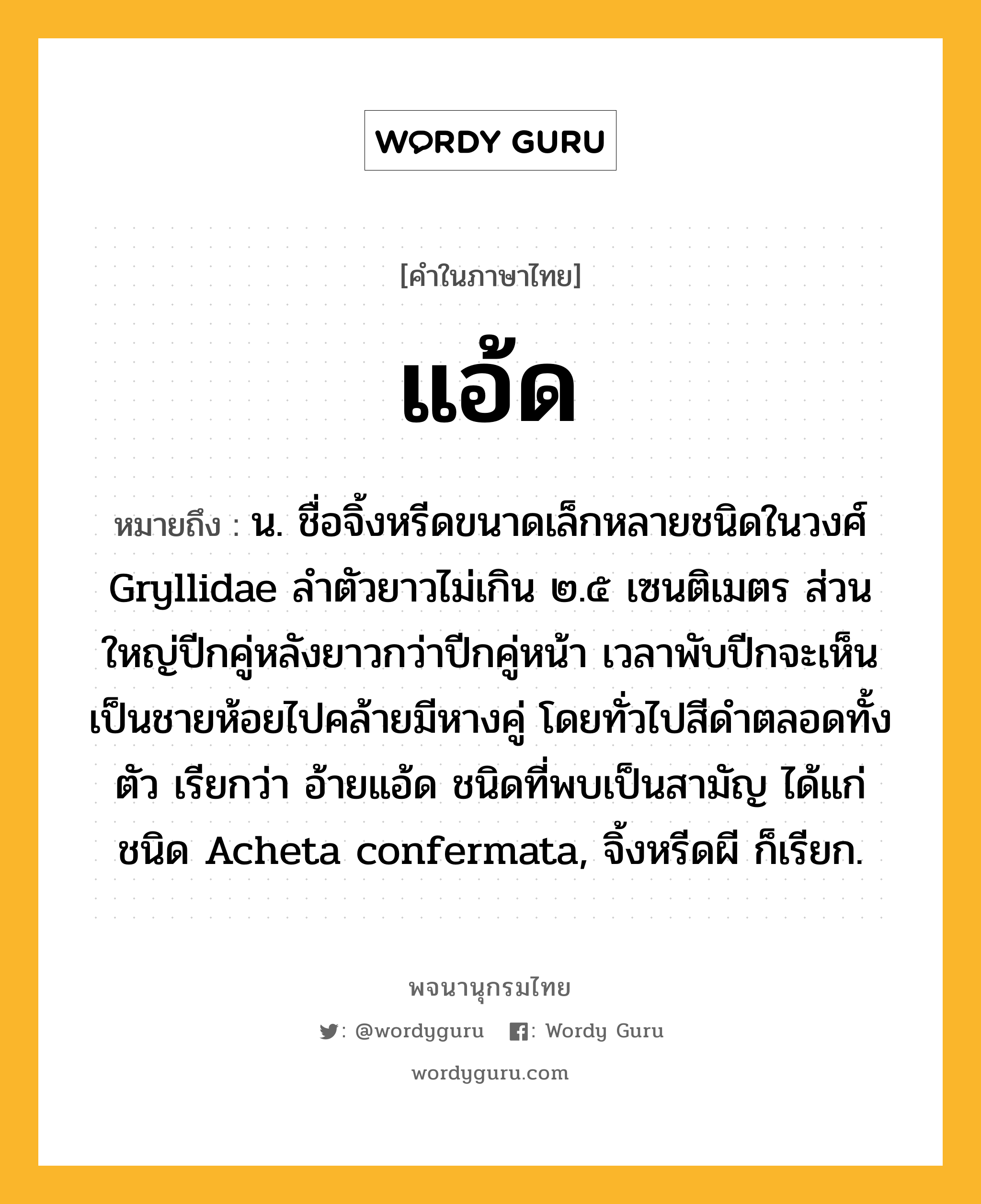 แอ้ด ความหมาย หมายถึงอะไร?, คำในภาษาไทย แอ้ด หมายถึง น. ชื่อจิ้งหรีดขนาดเล็กหลายชนิดในวงศ์ Gryllidae ลำตัวยาวไม่เกิน ๒.๕ เซนติเมตร ส่วนใหญ่ปีกคู่หลังยาวกว่าปีกคู่หน้า เวลาพับปีกจะเห็นเป็นชายห้อยไปคล้ายมีหางคู่ โดยทั่วไปสีดำตลอดทั้งตัว เรียกว่า อ้ายแอ้ด ชนิดที่พบเป็นสามัญ ได้แก่ ชนิด Acheta confermata, จิ้งหรีดผี ก็เรียก.