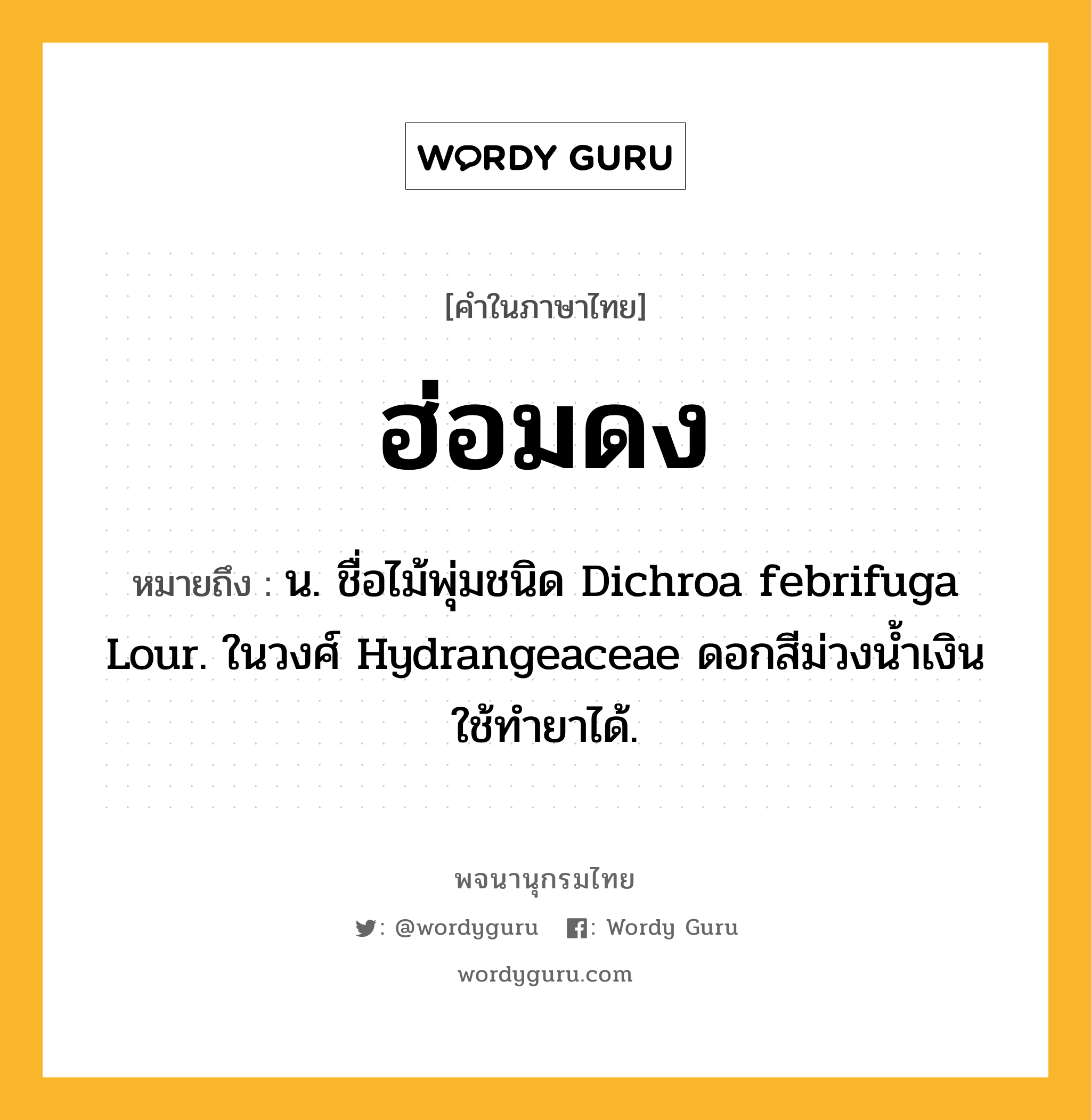 ฮ่อมดง ความหมาย หมายถึงอะไร?, คำในภาษาไทย ฮ่อมดง หมายถึง น. ชื่อไม้พุ่มชนิด Dichroa febrifuga Lour. ในวงศ์ Hydrangeaceae ดอกสีม่วงนํ้าเงิน ใช้ทํายาได้.