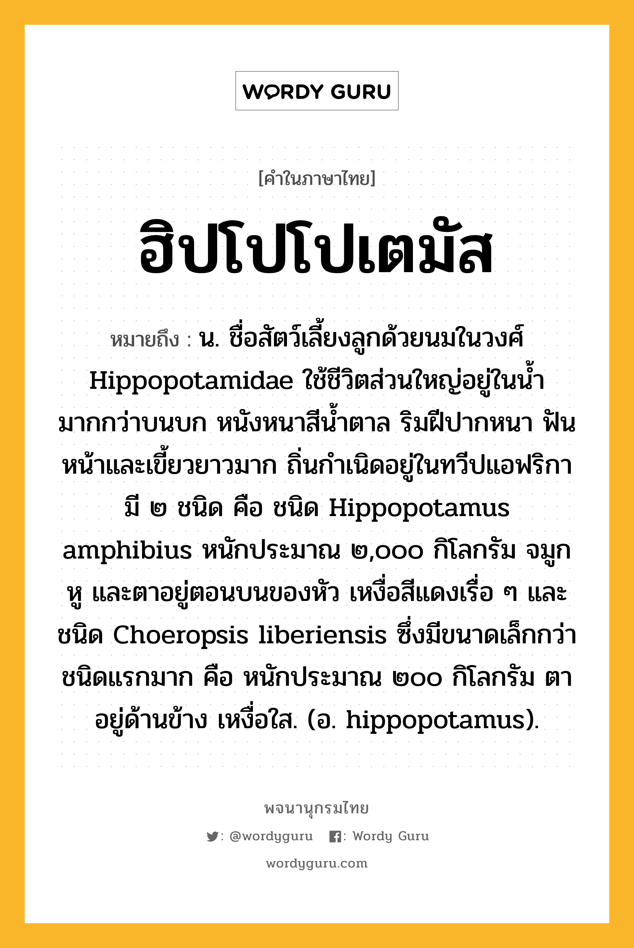 ฮิปโปโปเตมัส ความหมาย หมายถึงอะไร?, คำในภาษาไทย ฮิปโปโปเตมัส หมายถึง น. ชื่อสัตว์เลี้ยงลูกด้วยนมในวงศ์ Hippopotamidae ใช้ชีวิตส่วนใหญ่อยู่ในนํ้ามากกว่าบนบก หนังหนาสีนํ้าตาล ริมฝีปากหนา ฟันหน้าและเขี้ยวยาวมาก ถิ่นกําเนิดอยู่ในทวีปแอฟริกา มี ๒ ชนิด คือ ชนิด Hippopotamus amphibius หนักประมาณ ๒,๐๐๐ กิโลกรัม จมูก หู และตาอยู่ตอนบนของหัว เหงื่อสีแดงเรื่อ ๆ และชนิด Choeropsis liberiensis ซึ่งมีขนาดเล็กกว่าชนิดแรกมาก คือ หนักประมาณ ๒๐๐ กิโลกรัม ตาอยู่ด้านข้าง เหงื่อใส. (อ. hippopotamus).