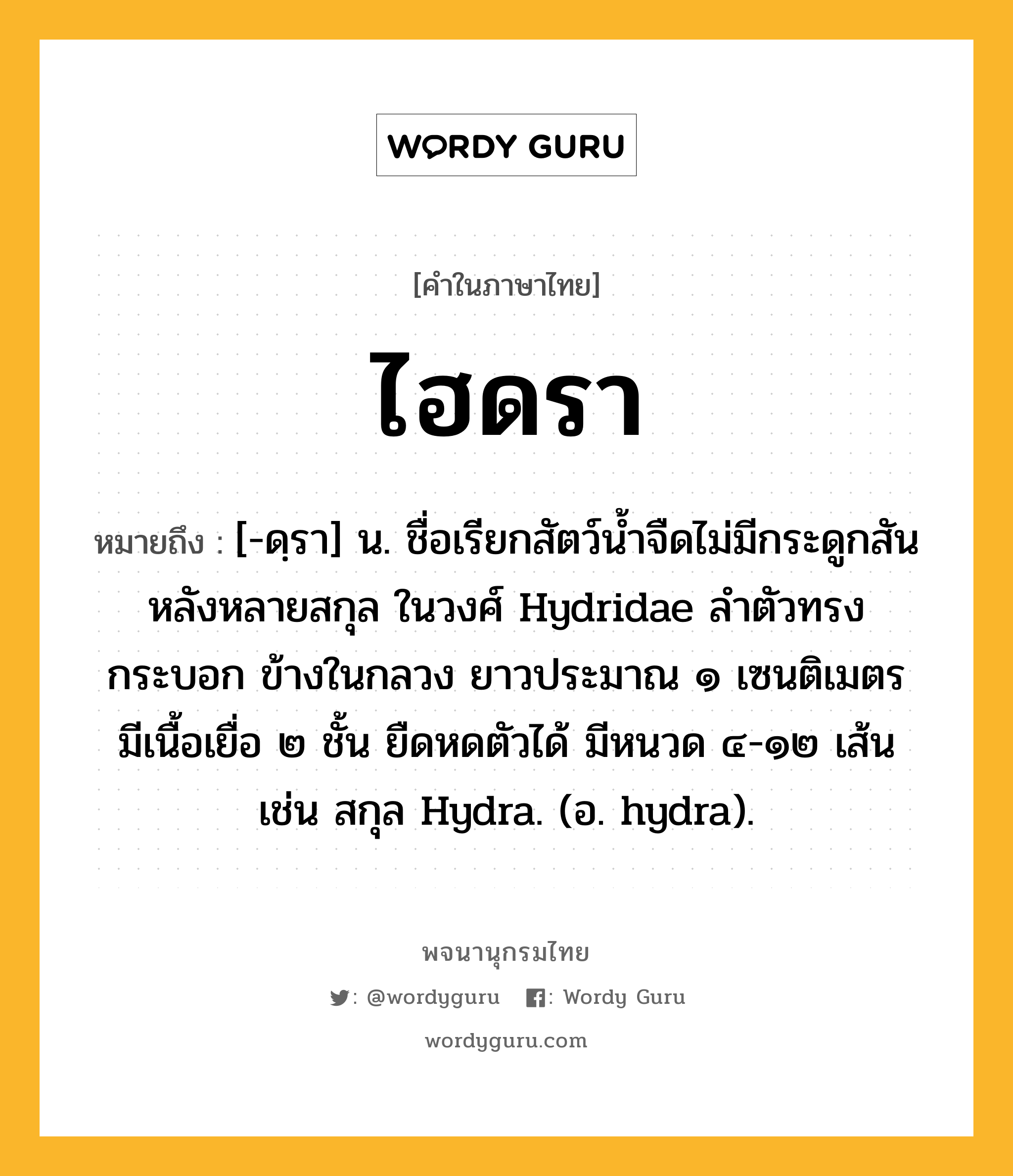 ไฮดรา ความหมาย หมายถึงอะไร?, คำในภาษาไทย ไฮดรา หมายถึง [-ดฺรา] น. ชื่อเรียกสัตว์นํ้าจืดไม่มีกระดูกสันหลังหลายสกุล ในวงศ์ Hydridae ลําตัวทรงกระบอก ข้างในกลวง ยาวประมาณ ๑ เซนติเมตร มีเนื้อเยื่อ ๒ ชั้น ยืดหดตัวได้ มีหนวด ๔-๑๒ เส้น เช่น สกุล Hydra. (อ. hydra).