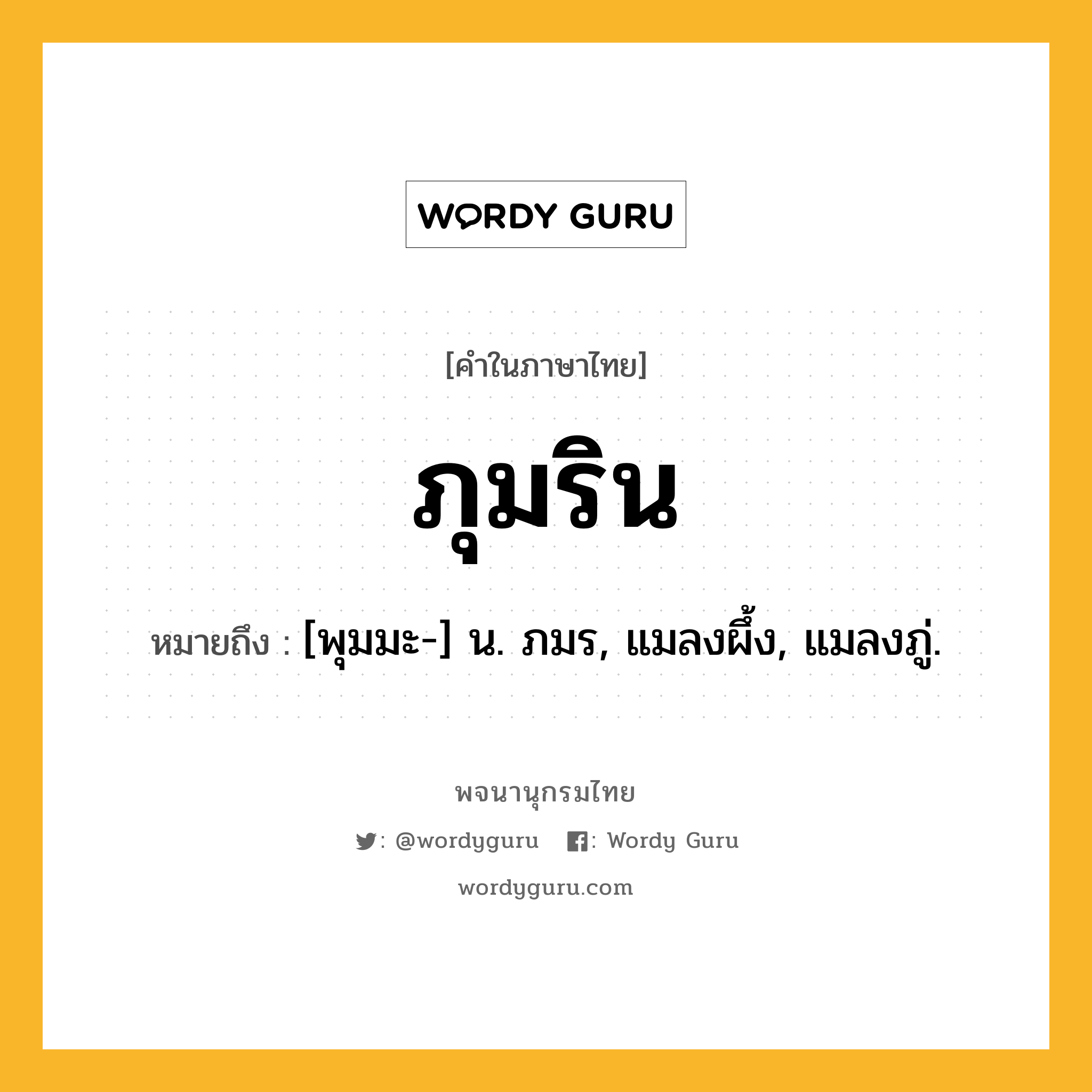 ภุมริน ความหมาย หมายถึงอะไร?, คำในภาษาไทย ภุมริน หมายถึง [พุมมะ-] น. ภมร, แมลงผึ้ง, แมลงภู่.